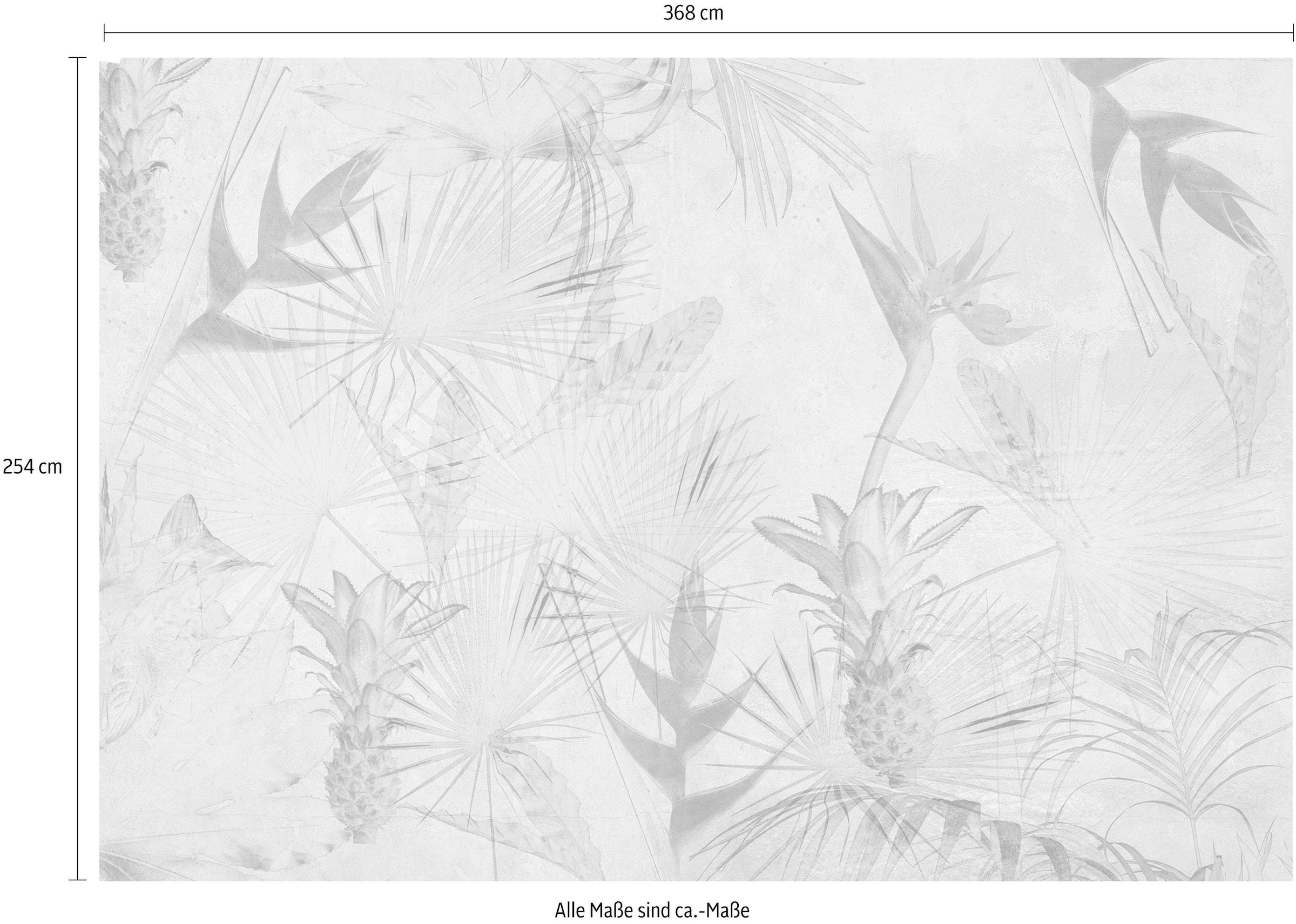 Komar Fototapete »Tropical Concrete - Grösse 368 x 254 cm«, bedruckt, Wohnzimmer, Schlafzimmer