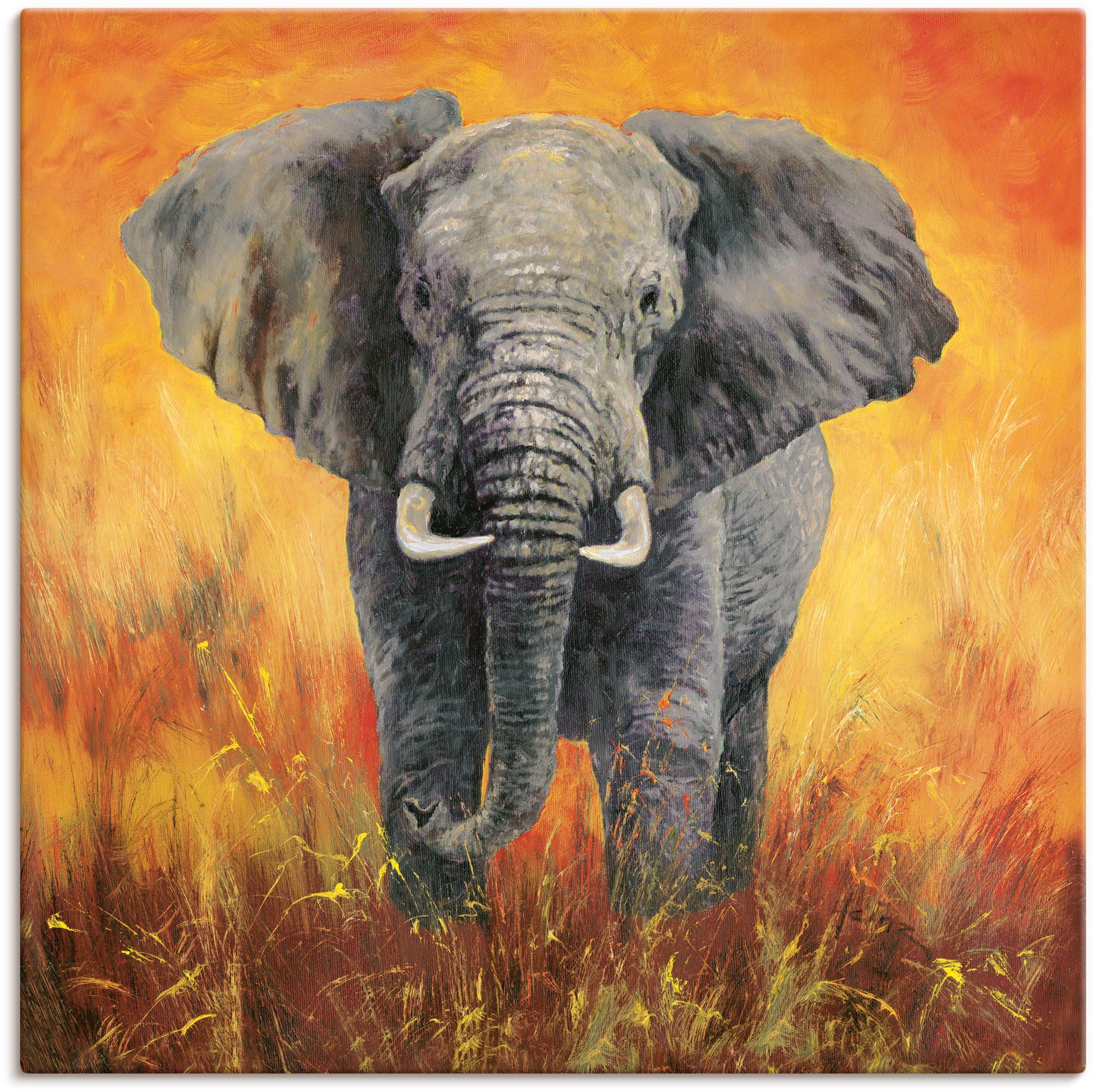 Bilder, Wandaufkleber oder Jelmoli-Versand in Elefanten Grössen St.), Poster Wandbild »Porträt als Alubild, | (1 versch. Leinwandbild, Artland online shoppen Elefant«,