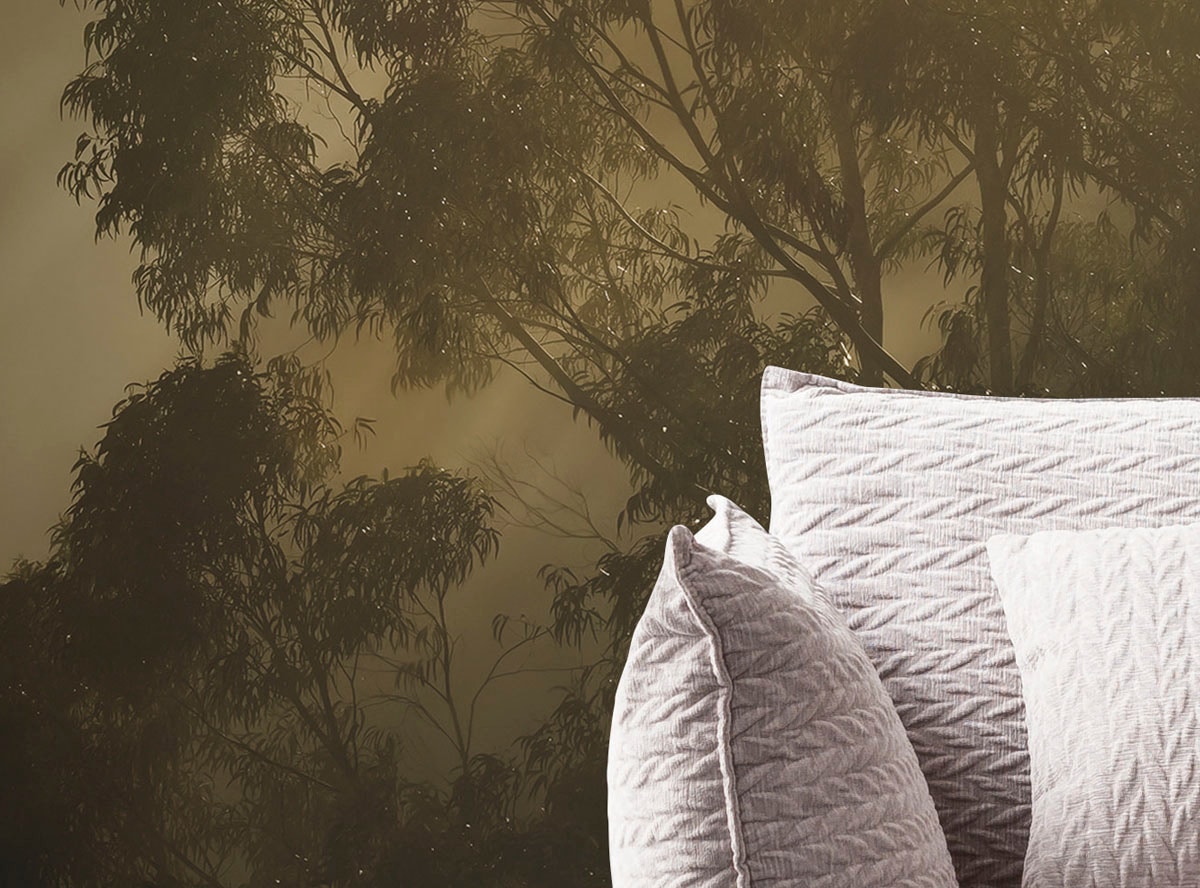 Komar Fototapete »Digitaldruck Vlies - Foggy Sunshine - Grösse 400 x 250 cm«, bedruckt, Wohnzimmer, Schlafzimmer