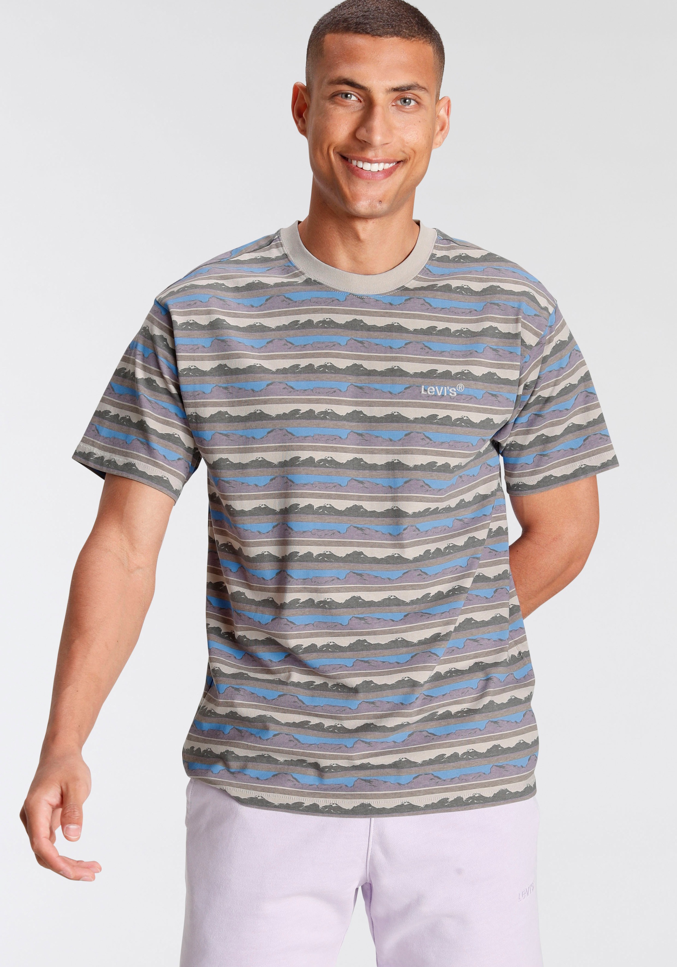 Levi's® T-Shirt, FRESH COLLECTION kaufen