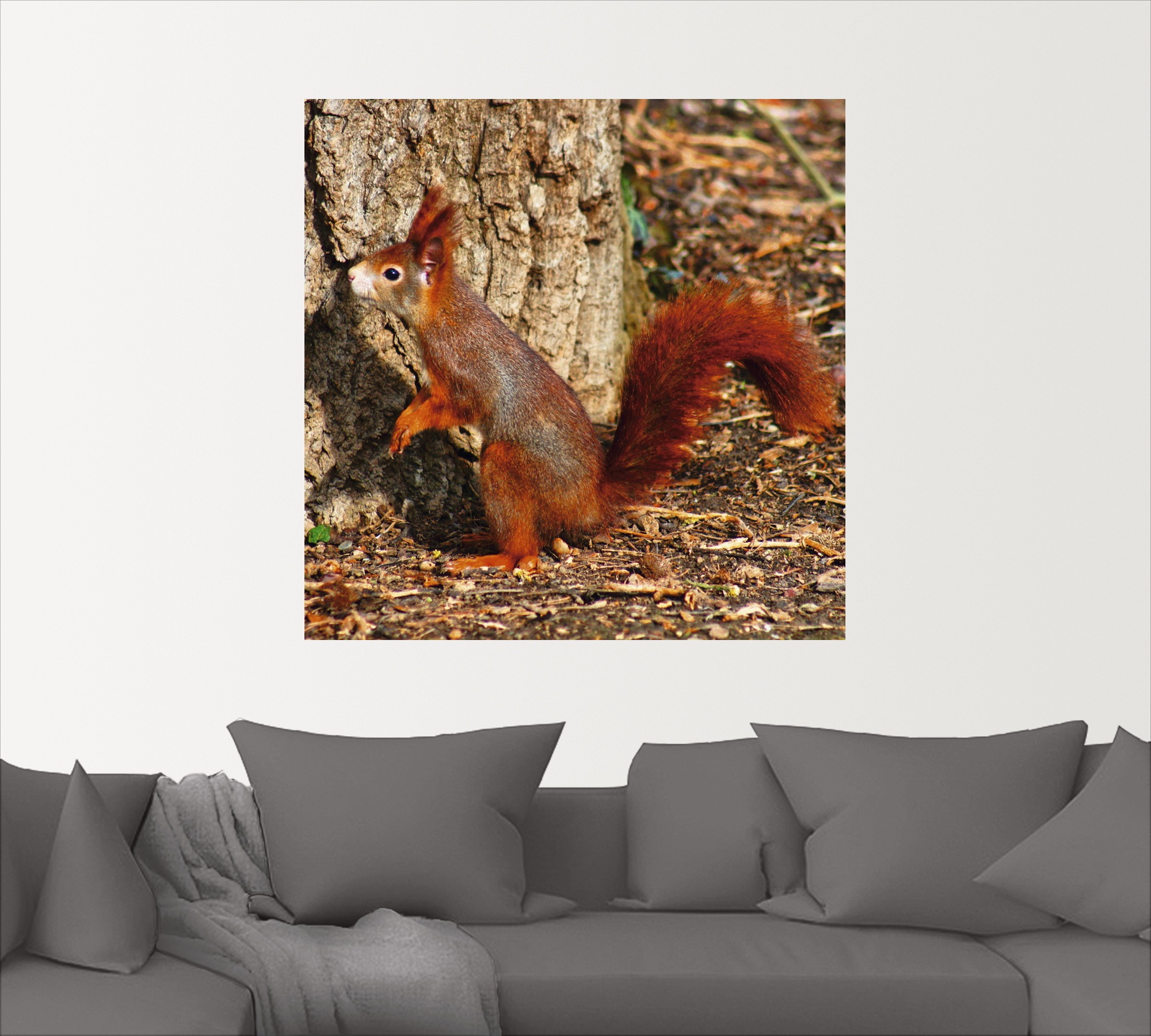 Artland Wandbild »Rotes Eichhörnchen will hoch hinaus«, Wildtiere, (1 St.), als Poster, Wandaufkleber in verschied. Grössen