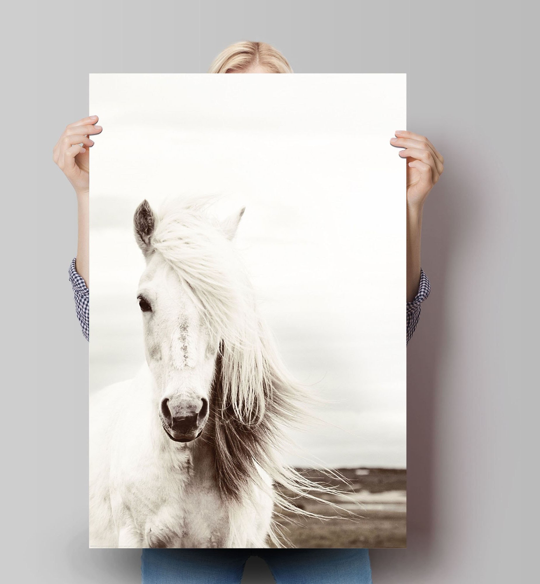 Reinders! Poster »Poster Weisses Pferd«, Pferde, (1 St.)