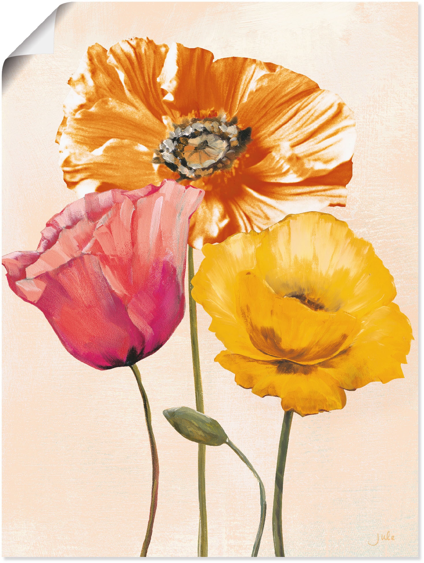 Artland Wandbild »Bunte Mohnblumen Jelmoli-Versand Grössen verschied. | in II«, Wandaufkleber online shoppen Blumenbilder, (1 Leinwandbild, Poster, St.), als