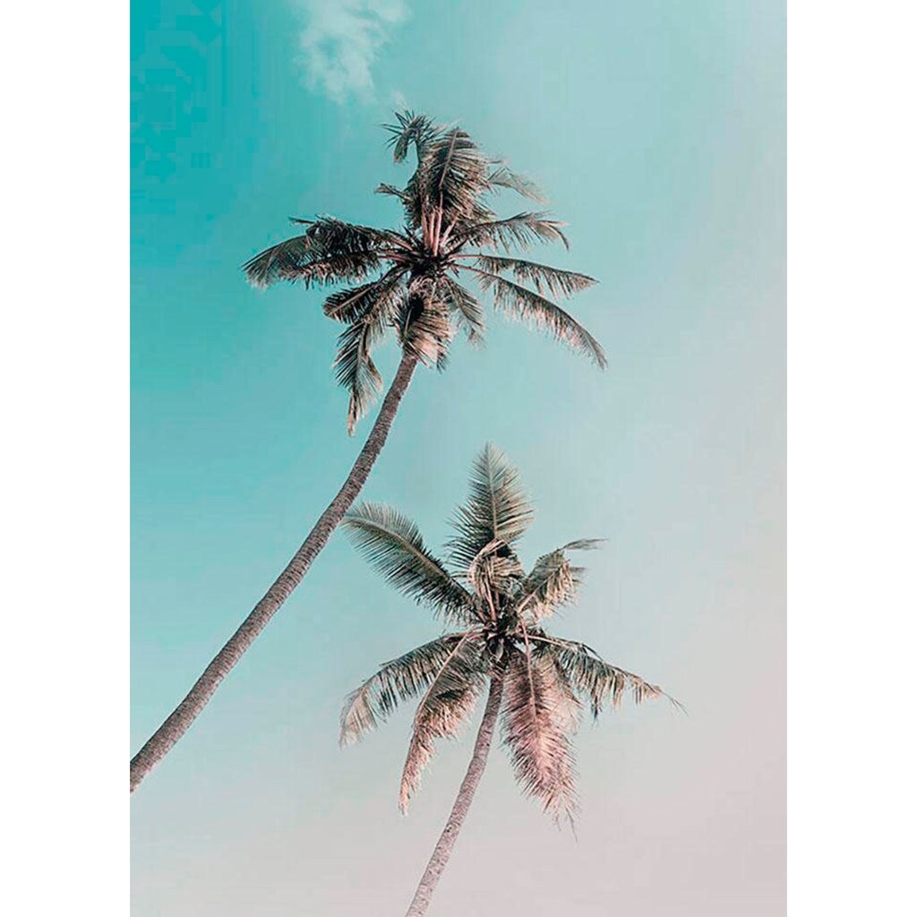 Komar Poster »Miami Palms«, Pflanzen-Blätter, (1 St.)