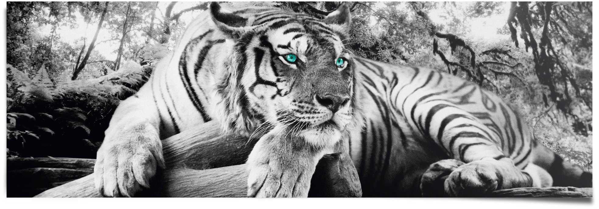 Reinders! Poster »Tigerblick«, (1 St.)