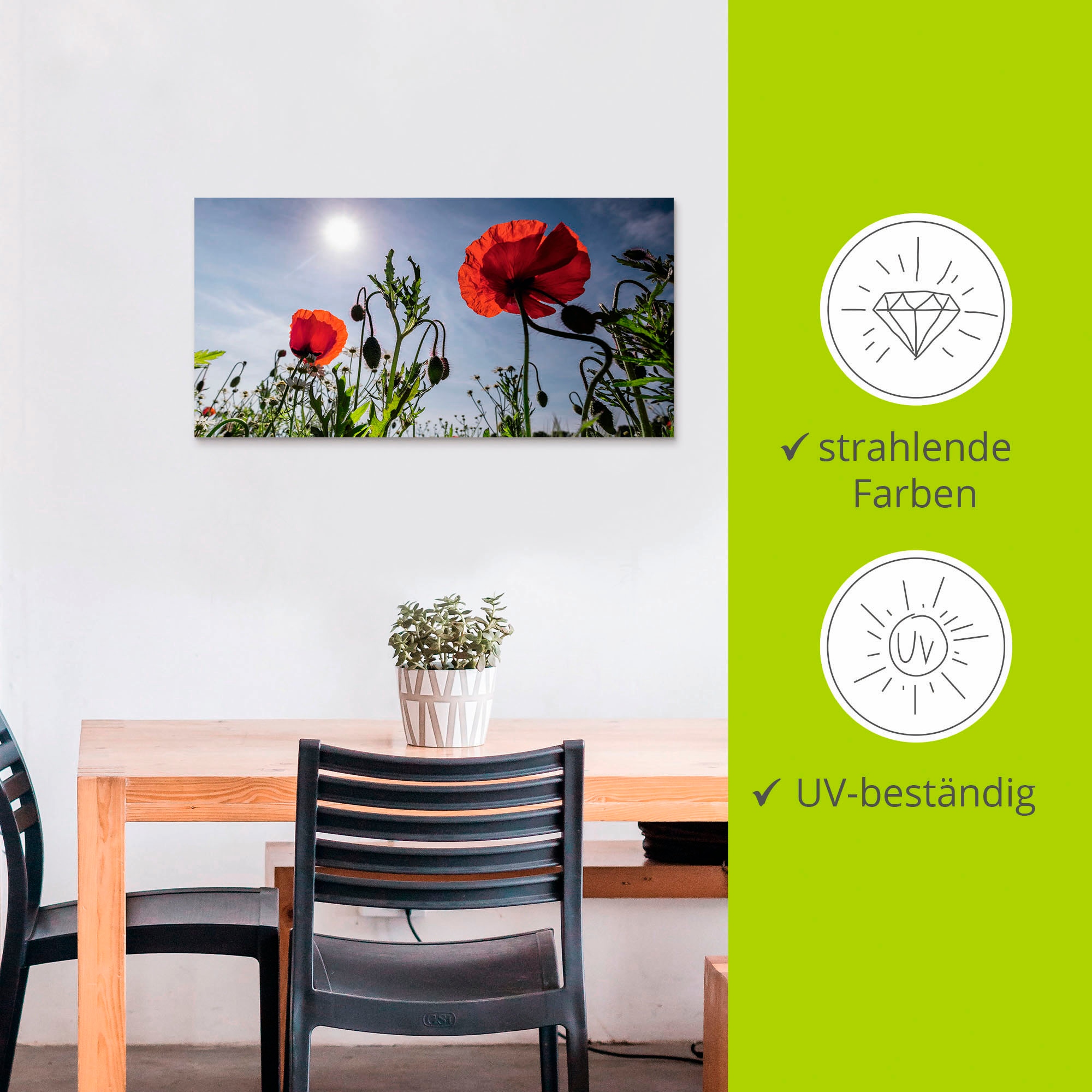 Artland Wandbild »Mohnblumen im Frühling«, Blumenwiese, (1 St.), als Alubild, Outdoorbild, Leinwandbild in verschied. Grössen