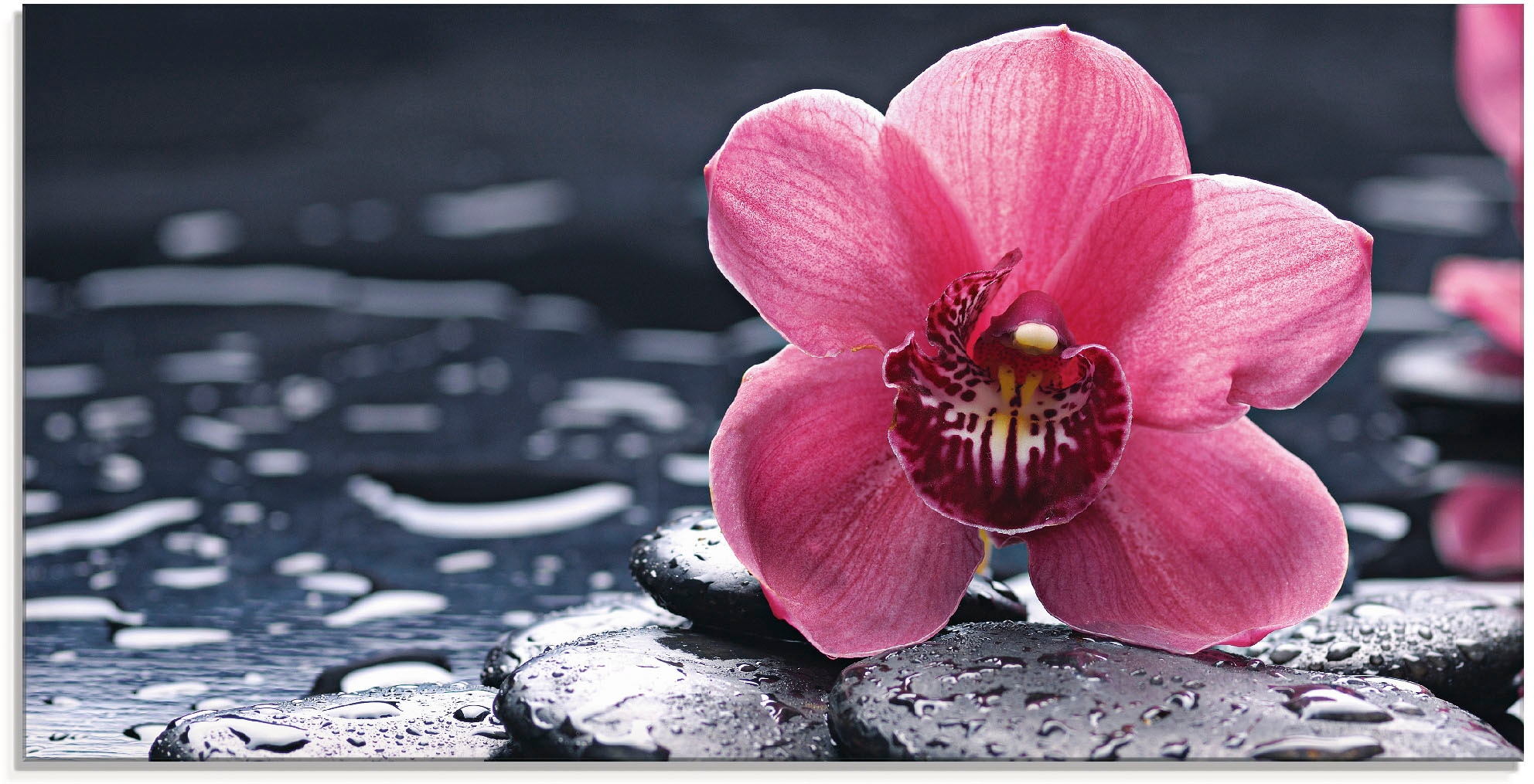 Artland Glasbild »Stillleben mit Kiesel und einer Orchidee«, Blumen, (1 St.), in verschiedenen Grössen