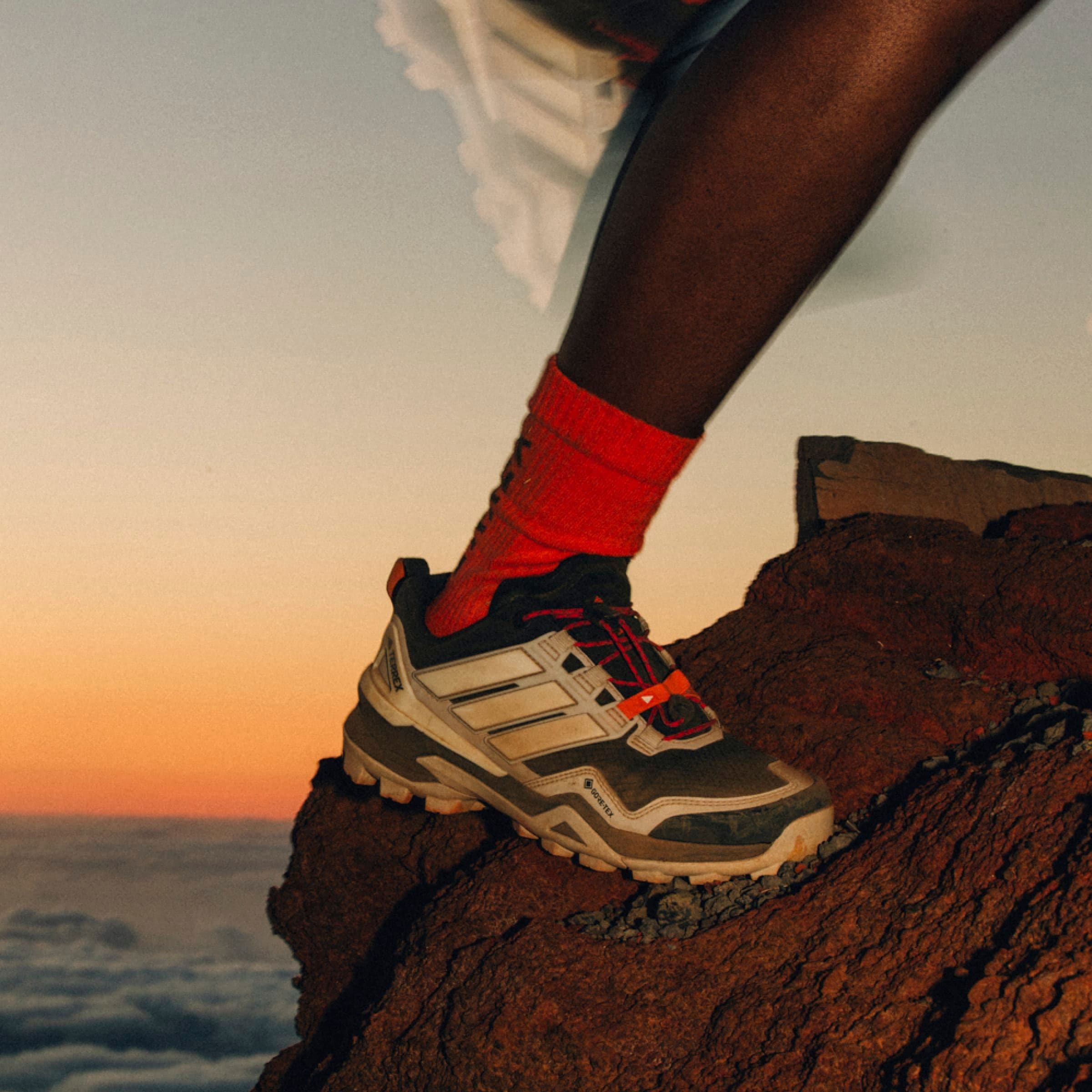 adidas TERREX Wanderschuh »SKYCHASER GORE-TEX«, wasserdicht