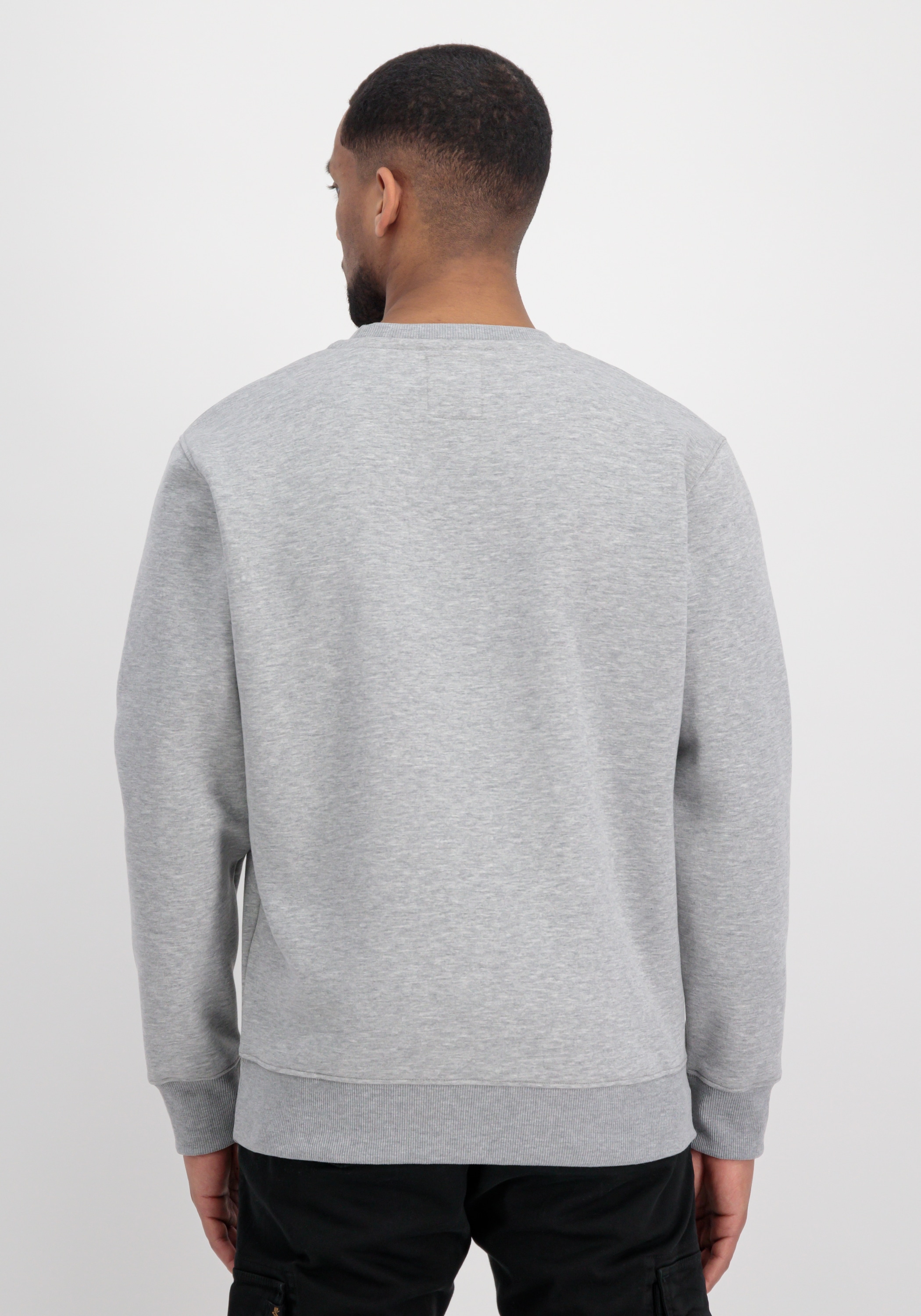 Alpha Industries Sweater »Basic Sweatshirt Rubber ML«