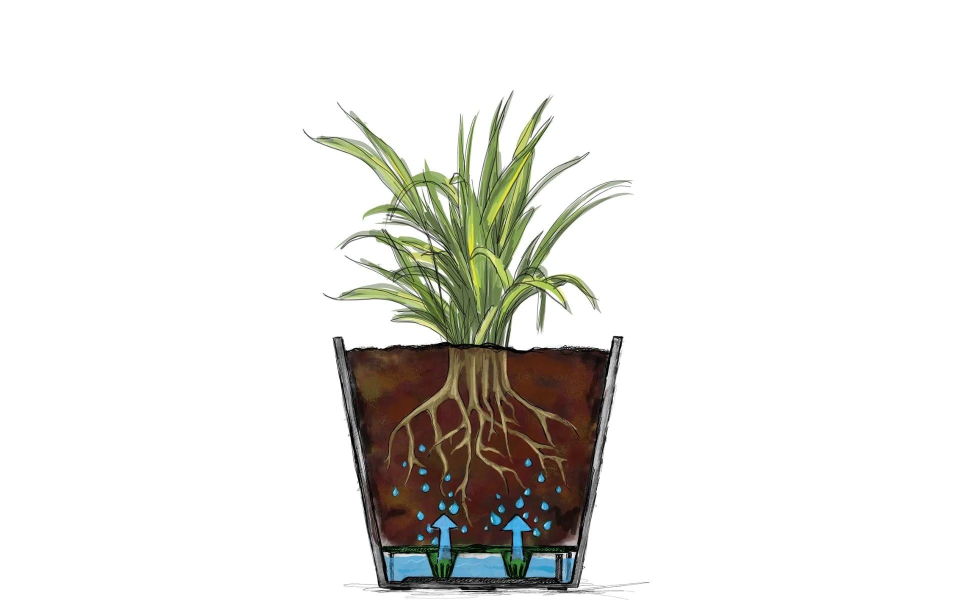 Scheurich Blumentopf »Groove+ Carbon«