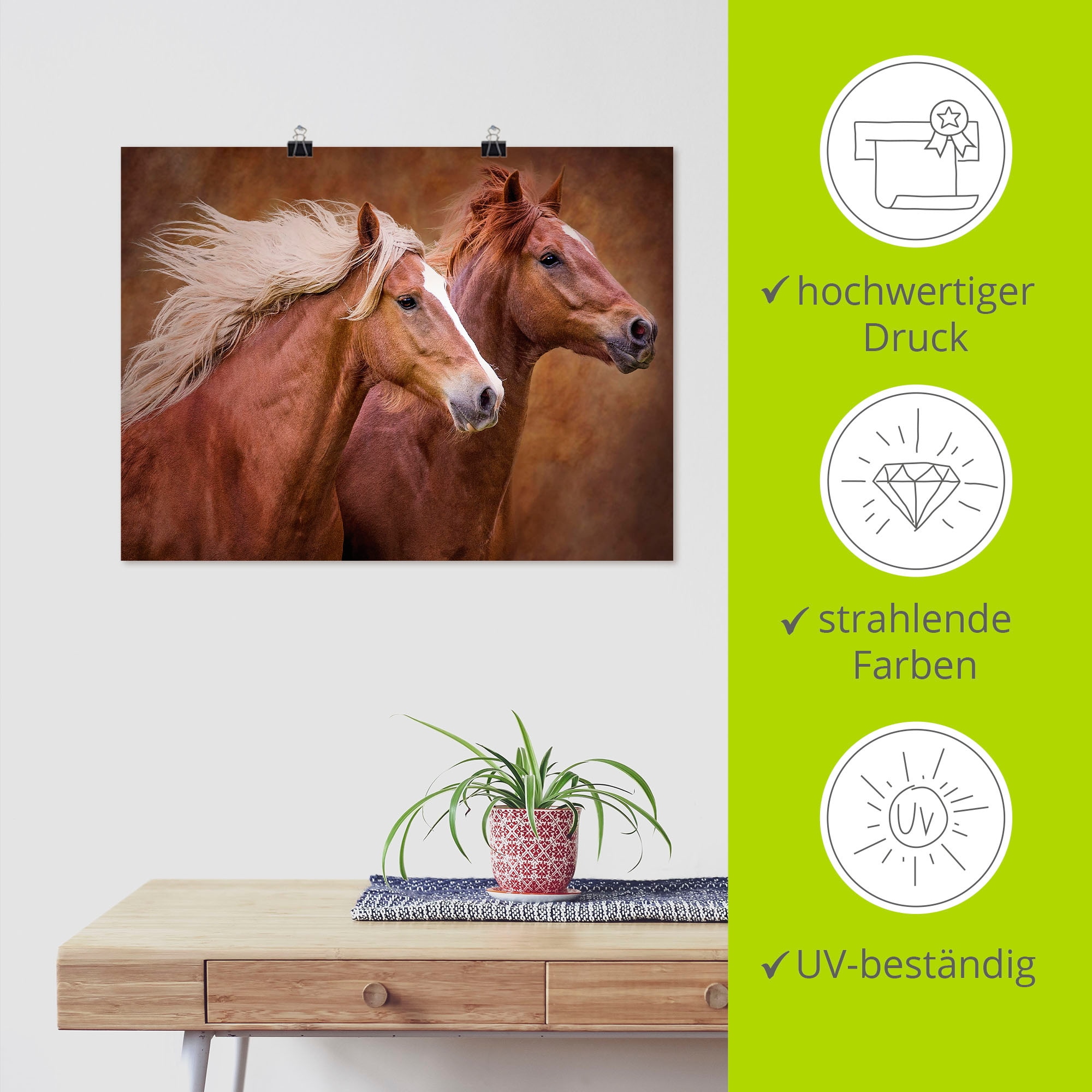 Artland Wandbild »Reinrassige Pferde I«, Haustiere, (1 St.), als Leinwandbild, Poster, Wandaufkleber in verschied. Grössen