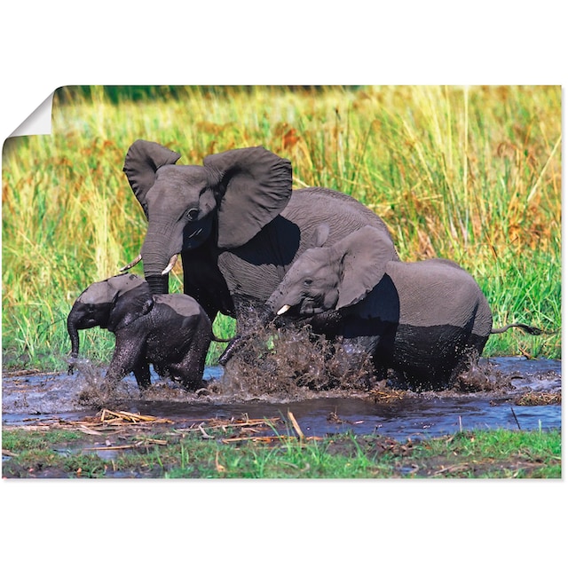 Artland Wandbild »Elefantenfamilie«, Wildtiere, (1 St.), als Alubild,  Leinwandbild, Wandaufkleber oder Poster in versch. Grössen online kaufen |  Jelmoli-Versand
