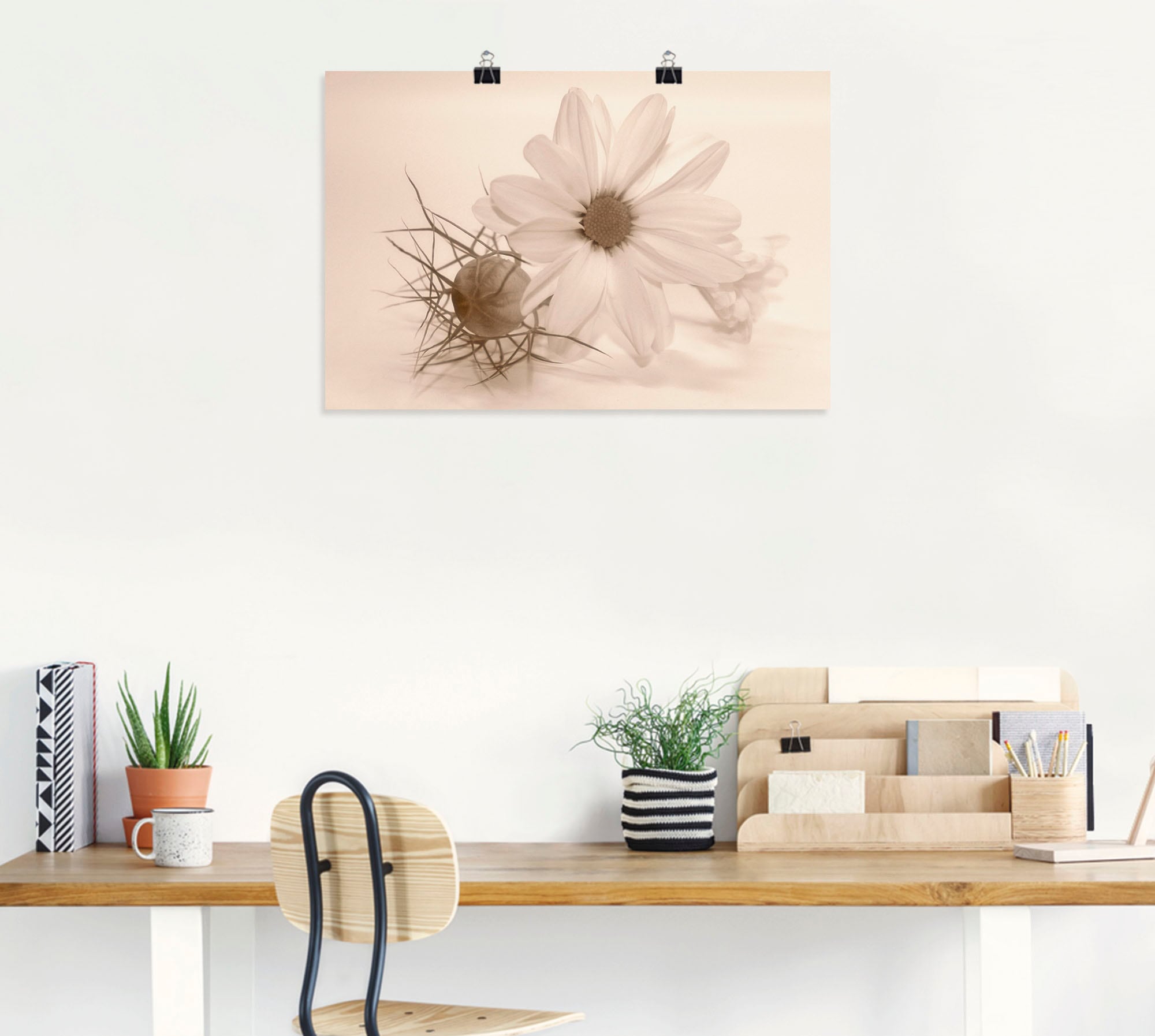 Artland Wandbild »Chrysantheme«, Blumen, (1 St.), als Alubild, Outdoorbild, Poster in verschied. Grössen