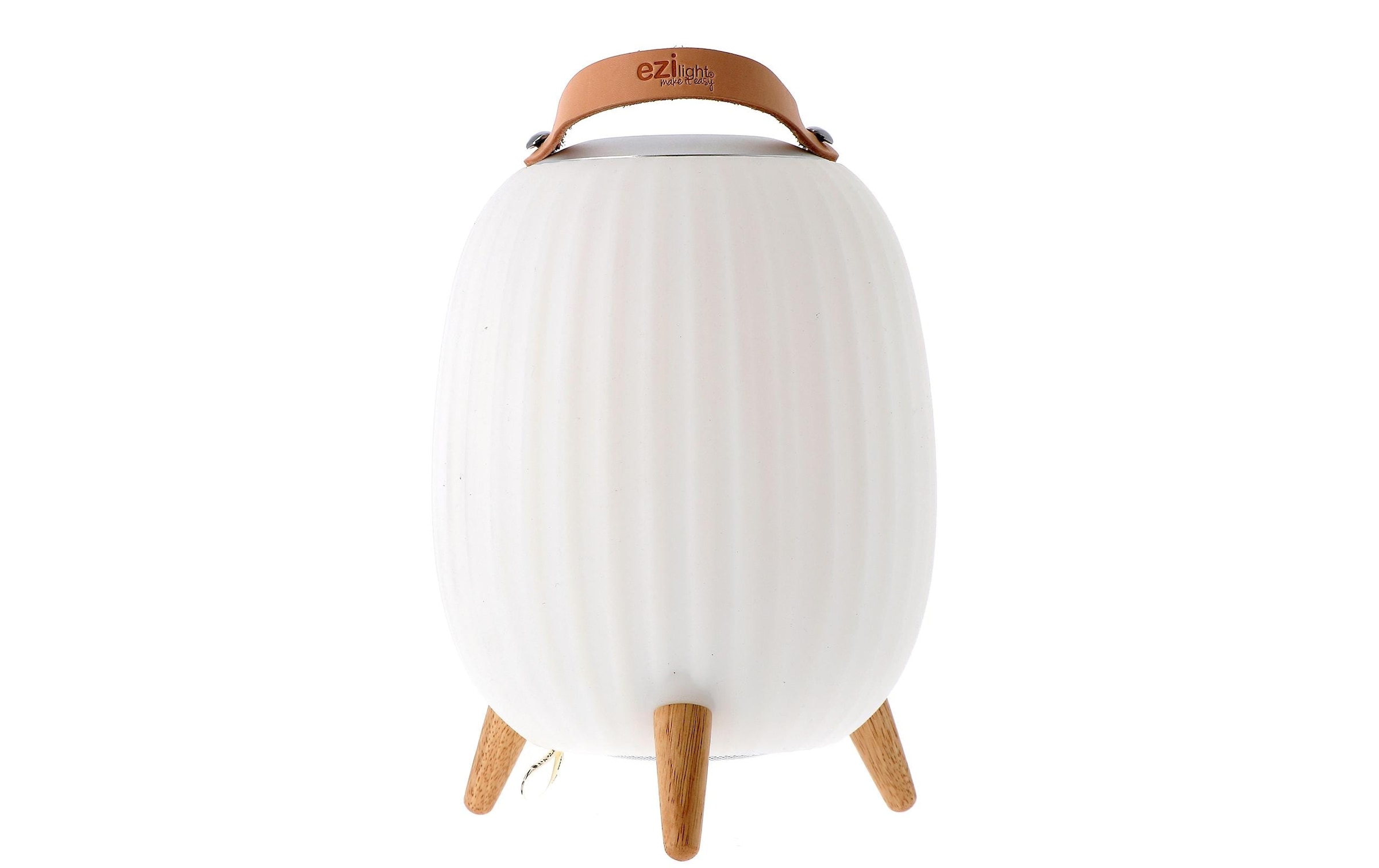 LED Laterne »ezilight Ambiant M,«