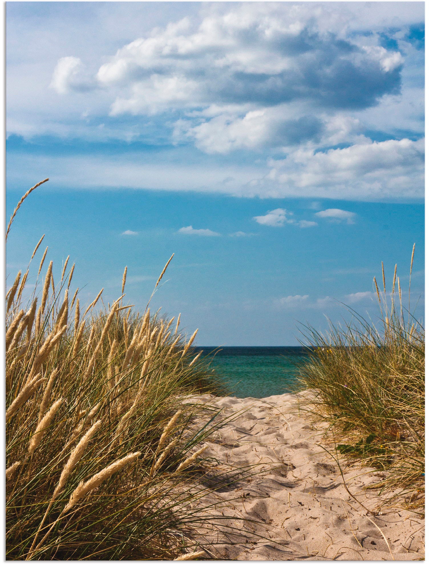 Artland Wandbild »Strandzugang an der Ostsee - Dänemark 9«, Strand, (1 St.), als Alubild, Outdoorbild in verschied. Grössen