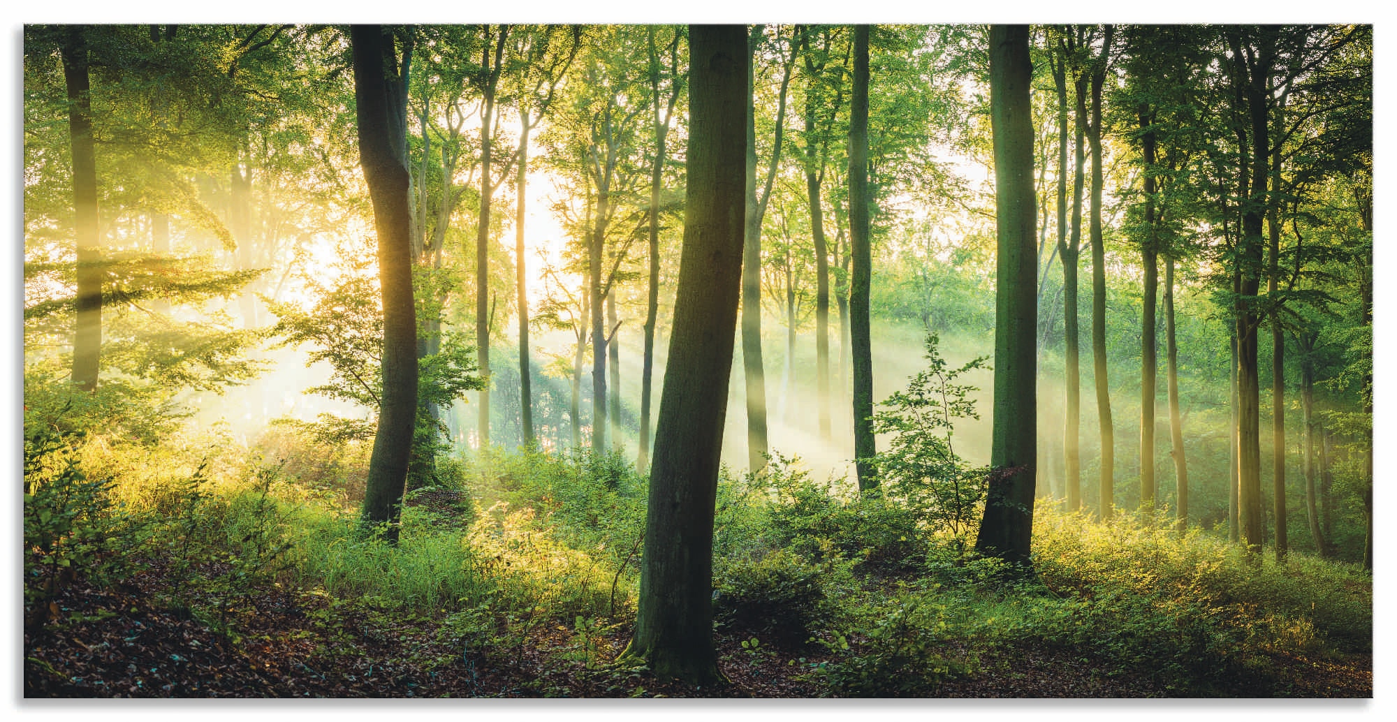 | Wald Leinwandbild, als »Herbst (1 Poster Wandbild Grössen Wandaufkleber Alubild, St.), Jelmoli-Versand im in oder versch. online Artland II«, Waldbilder, bestellen