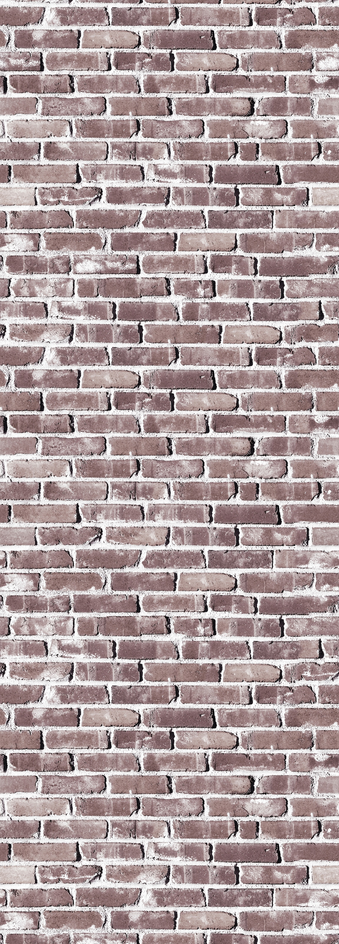 queence Vinyltapete "Eatockea" Abriebeffekte  Steinoptik  bedruckt  clean  minimalistisch  unifarben glatt 90x250cm, selbstklebend, kinderleichte Anbringung, Sticker