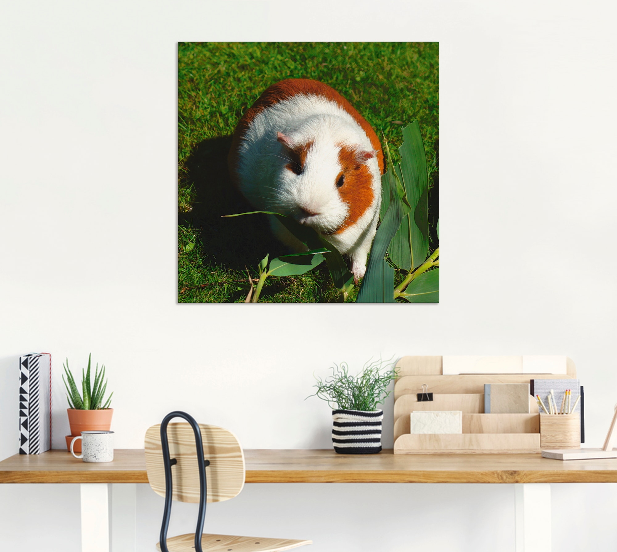Artland Wandbild »Orange weisses Meerschweinchen«, Haustiere, (1 St.), als Alubild, Outdoorbild, Leinwandbild in verschied. Grössen
