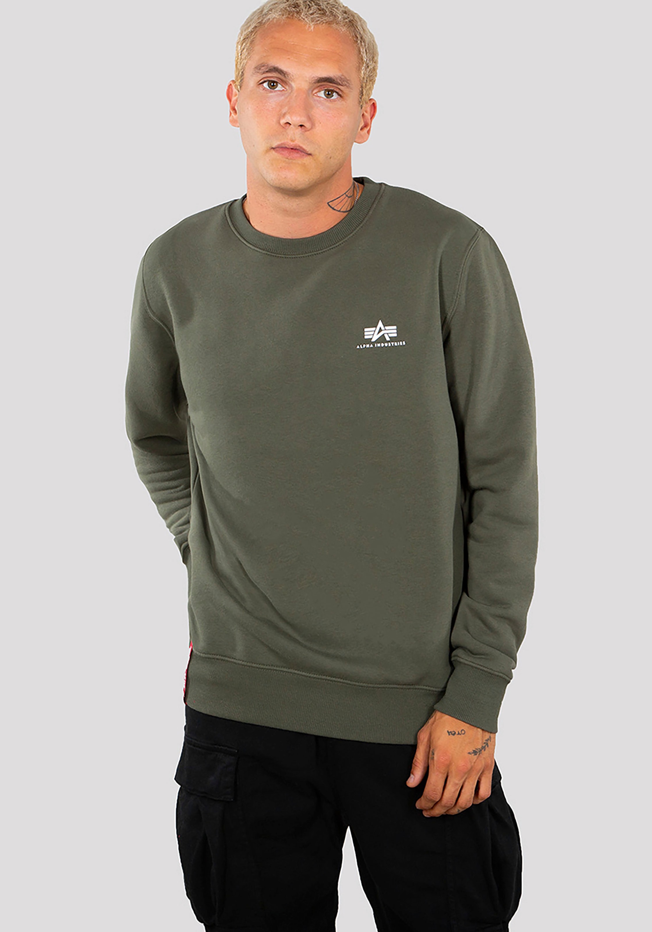 Alpha Industries Sweatshirt »Basic Sweater small Logo«