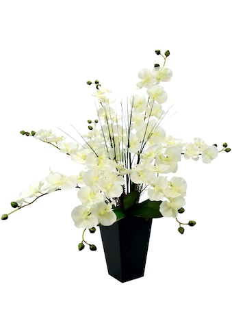 I.GE.A. Kunstpflanze »Phalaenopsis im Topf« kaufen
