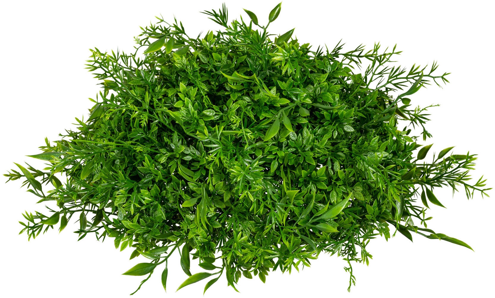 Creativ green Kunstpflanze »Mixgras-Halbkugel« online Jelmoli-Versand shoppen 