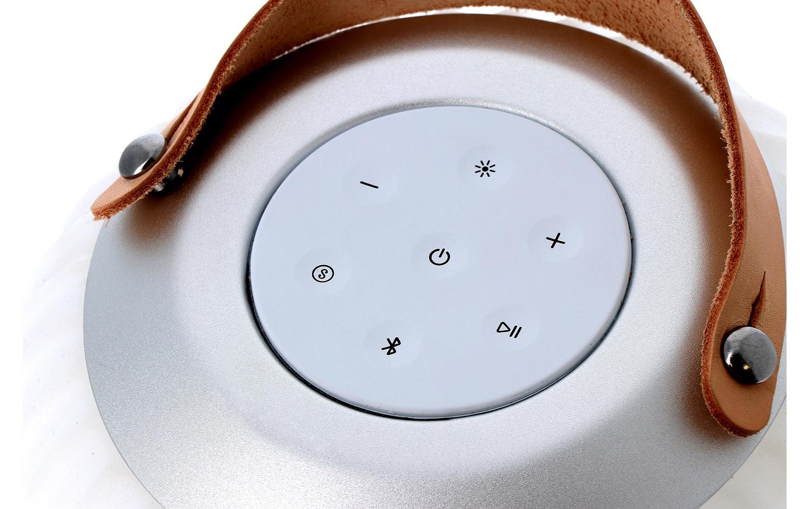 LED Laterne »ezilight Ambiant M,«