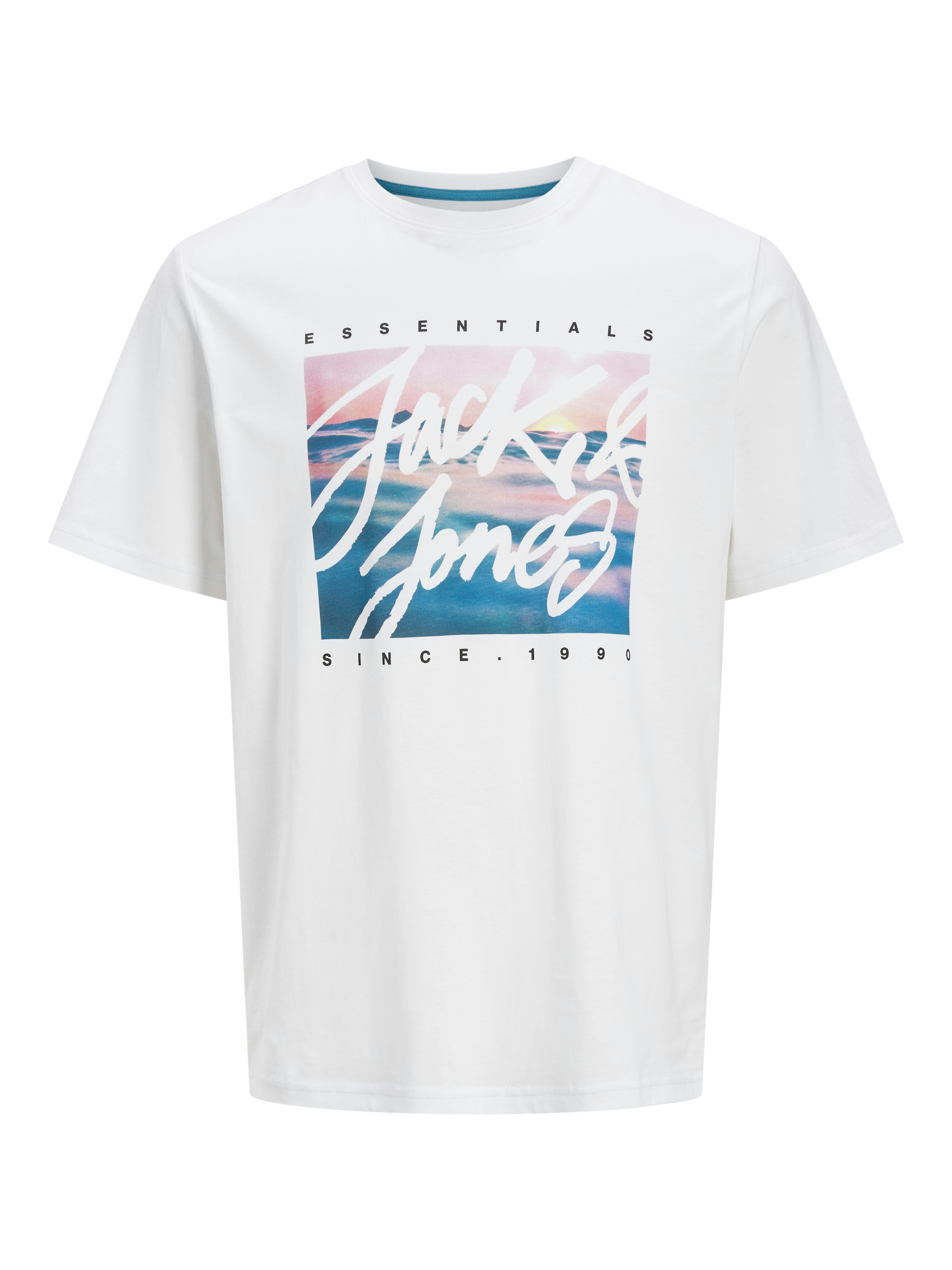 Jack & Jones PlusSize Print-Shirt »JJCOLTON PHOTOPRINT TEE SS CREW NE PLS«