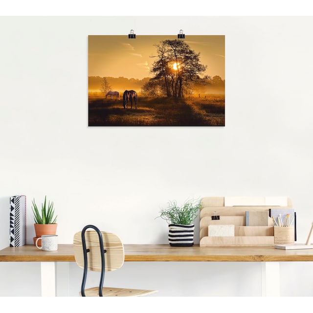 Artland Wandbild »Lichtdurchflutet«, Wiesen & Baumbilder, (1 St.), als  Leinwandbild, Poster in verschied. Grössen online bestellen |  Jelmoli-Versand