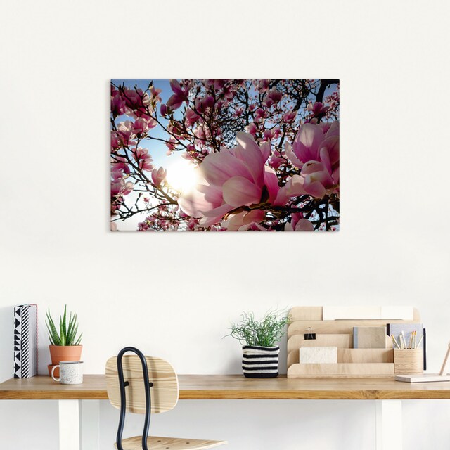 Artland Wandbild »Magnolienbaum im Sonnenschein«, Baumbilder, (1 St.), als  Alubild, Leinwandbild, Wandaufkleber oder Poster in versch. Grössen online  kaufen | Jelmoli-Versand