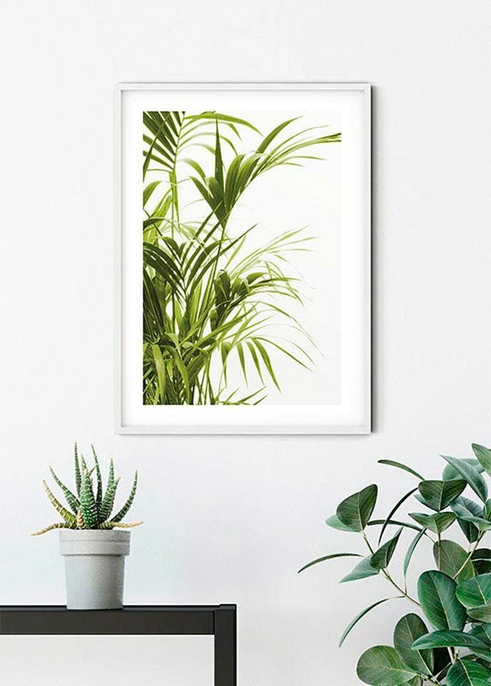 Komar Bild "Reed Leaves" Blätter Pflanzen 1 Stk. tlg. Wandbild zur Dekoration - ohne Rahmen
