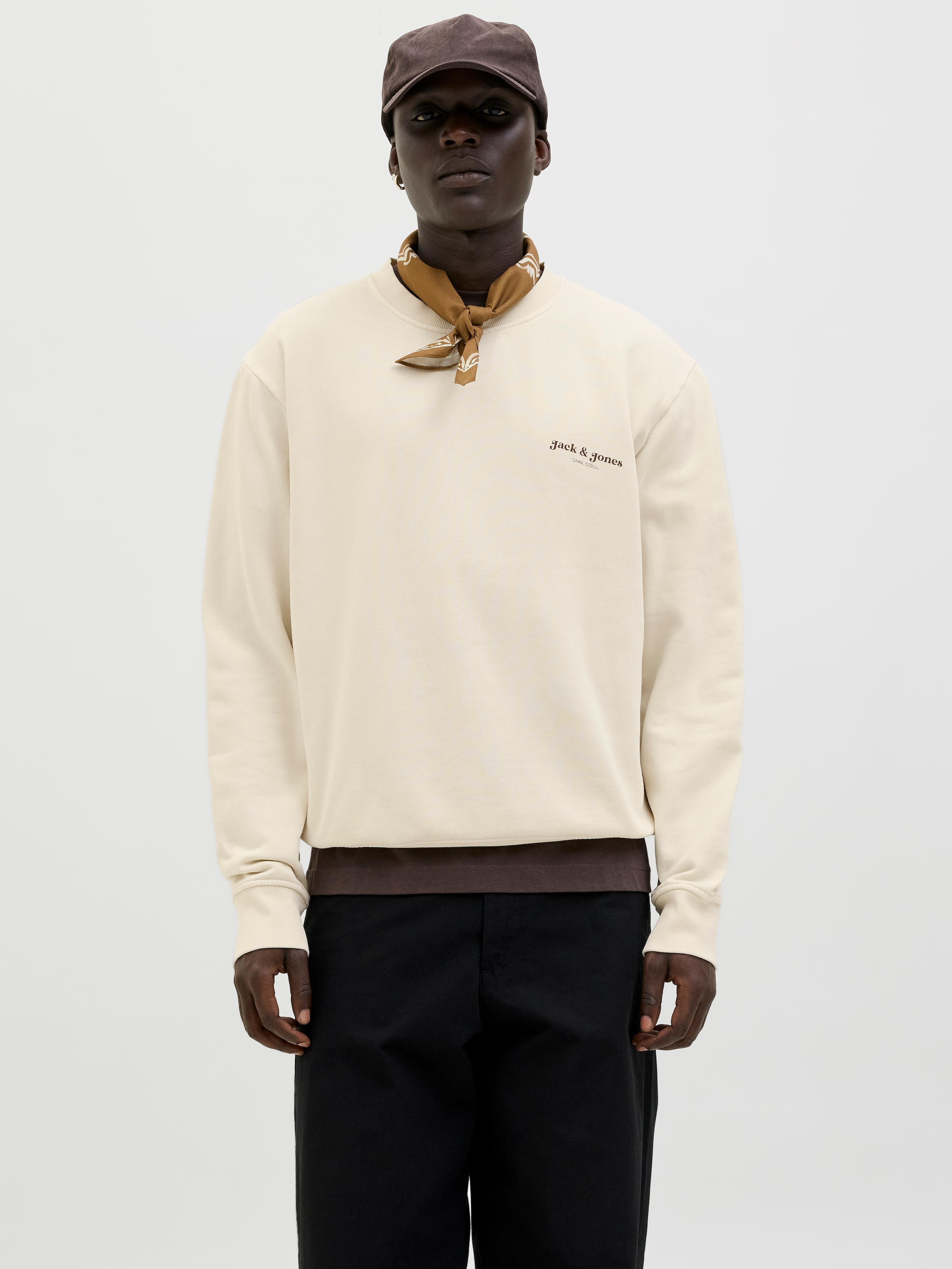 Jack & Jones Sweatshirt »JJEDOVER PRINT SWEAT CREW NECK«