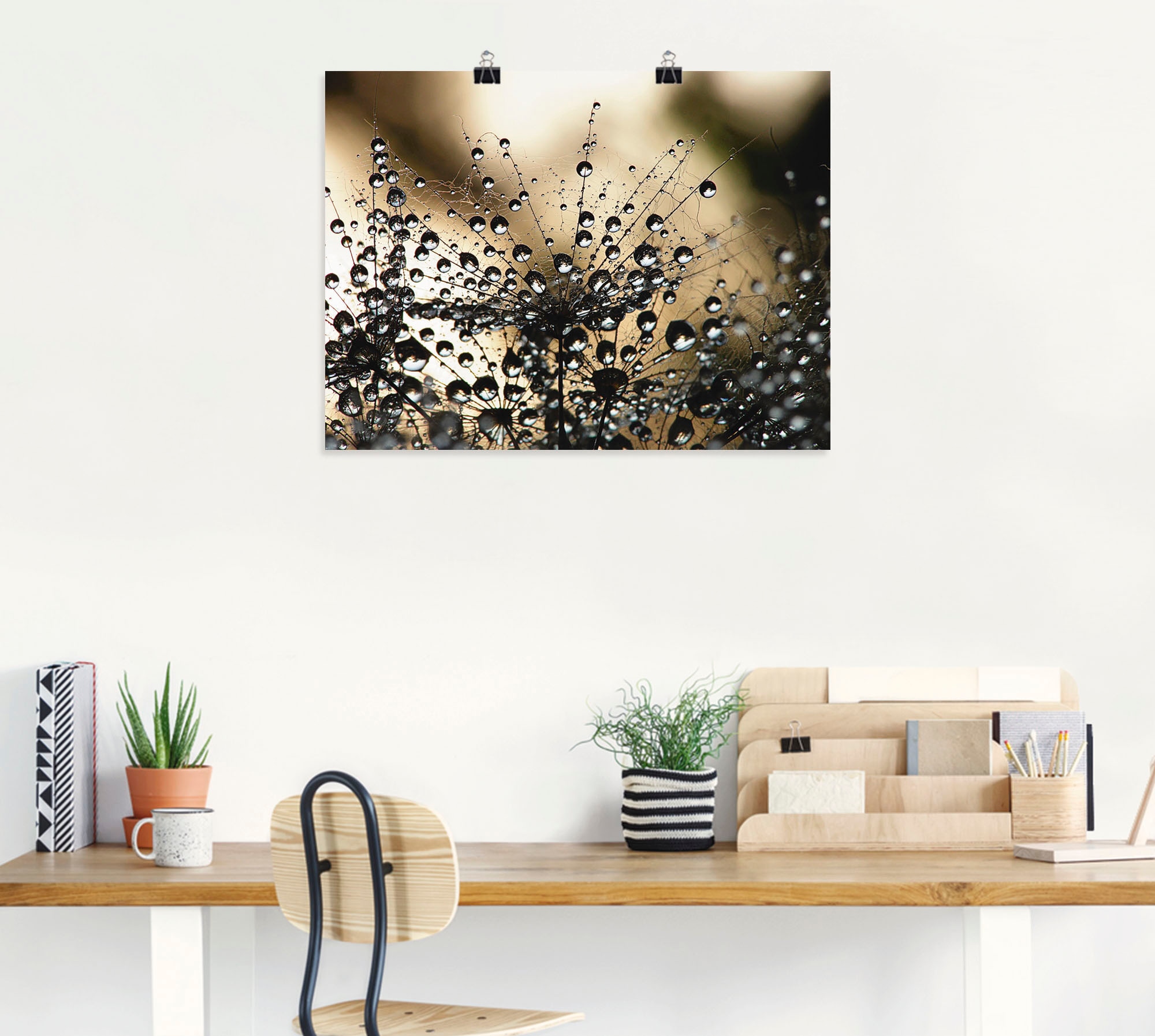 Artland Wandbild »Nasser Löwenzahn«, Blumen, (1 St.), als Alubild, Outdoorbild, Leinwandbild, Poster, Wandaufkleber