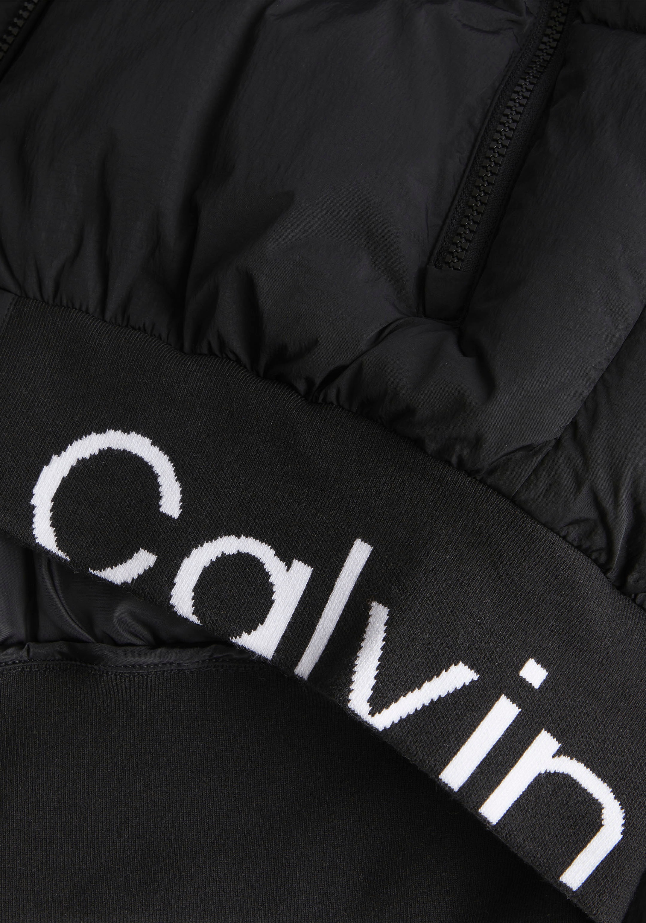 Calvin Klein Jeans Plus Steppjacke »PLUS LOGO HEM SHORT PUFFER«, mit elastischem Calvin Klein Jeans Bund
