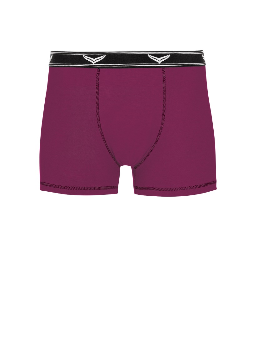 Trigema Boxer »TRIGEMA Bequeme Pants mit Webgummibund« 1 Stk.