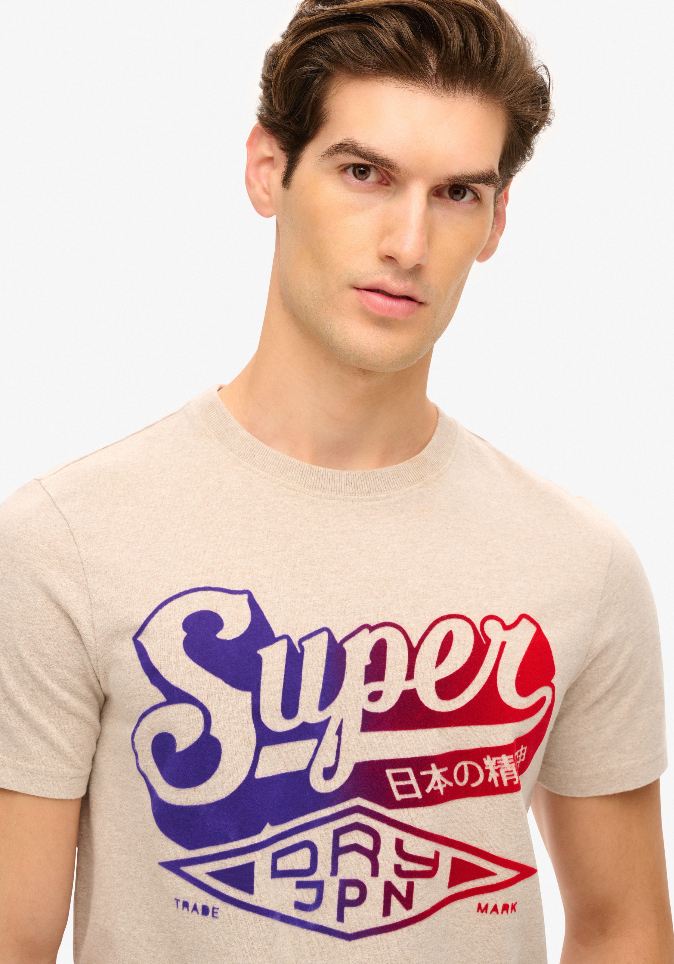 Superdry Rundhalsshirt »FLOCKED FADE GRAPHIC T SHIRT«