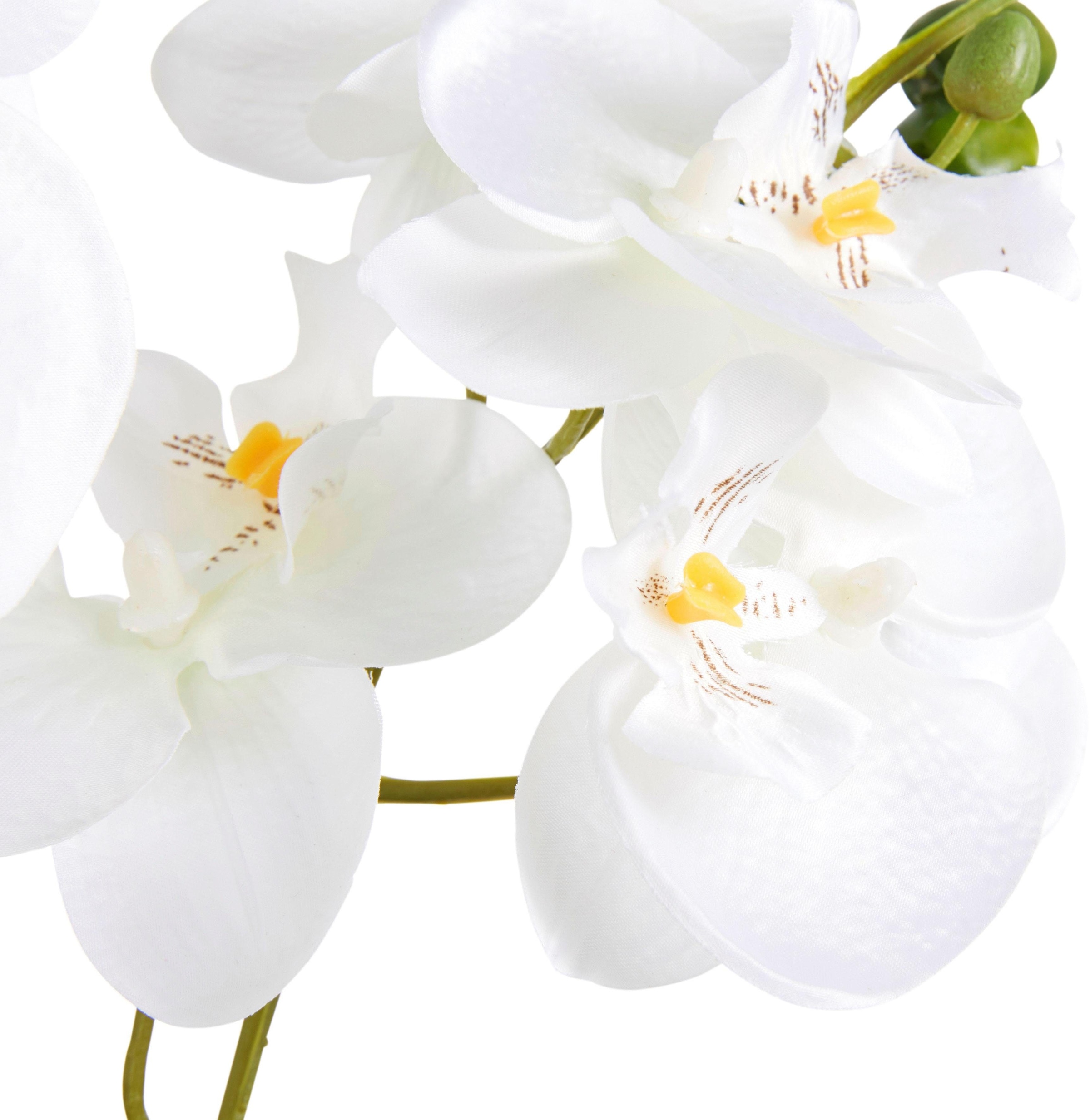 Creativ green Kunstpflanze »Orchidee« online shoppen | Jelmoli-Versand