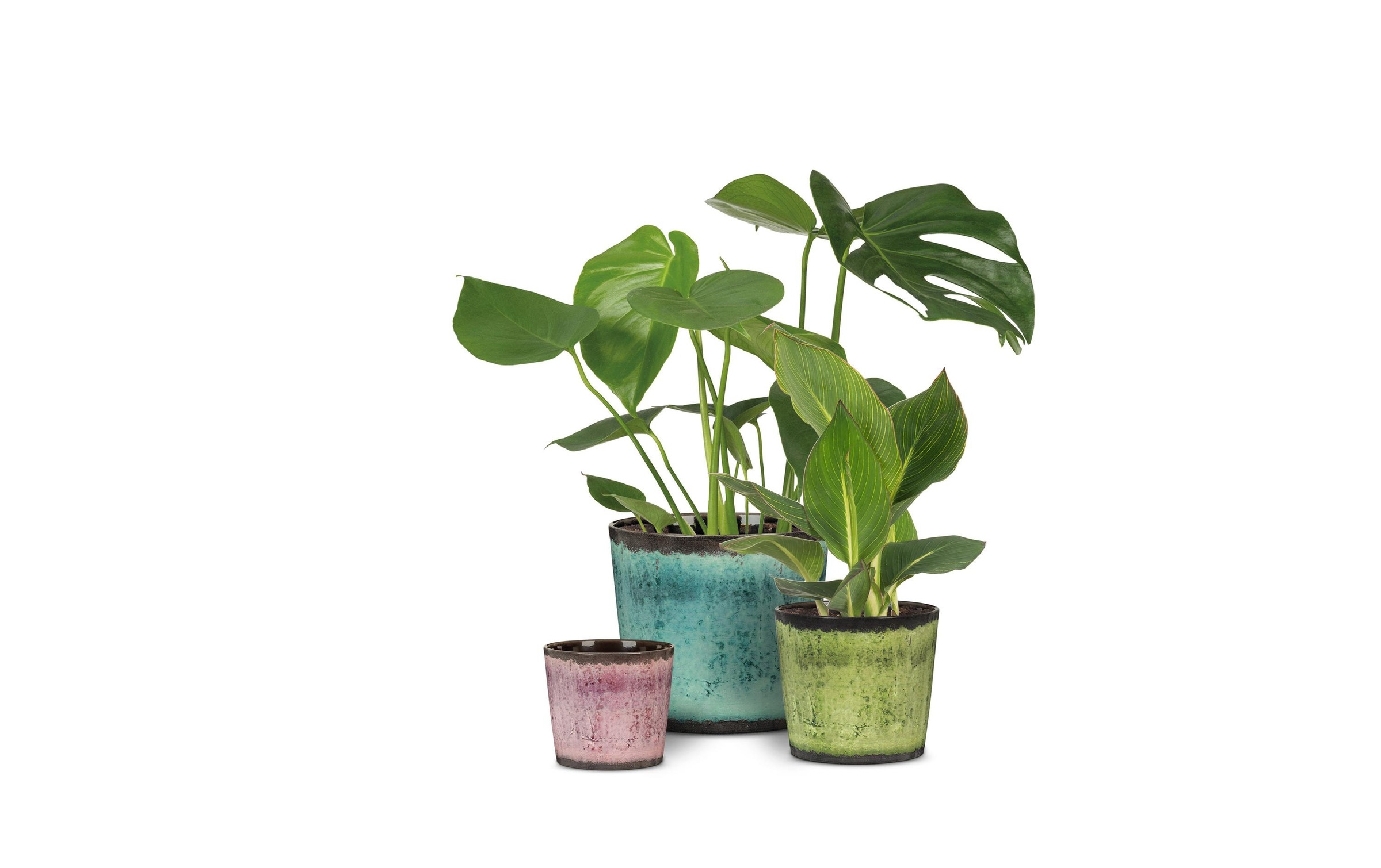 Scheurich Blumentopf »Meadow Glaze«