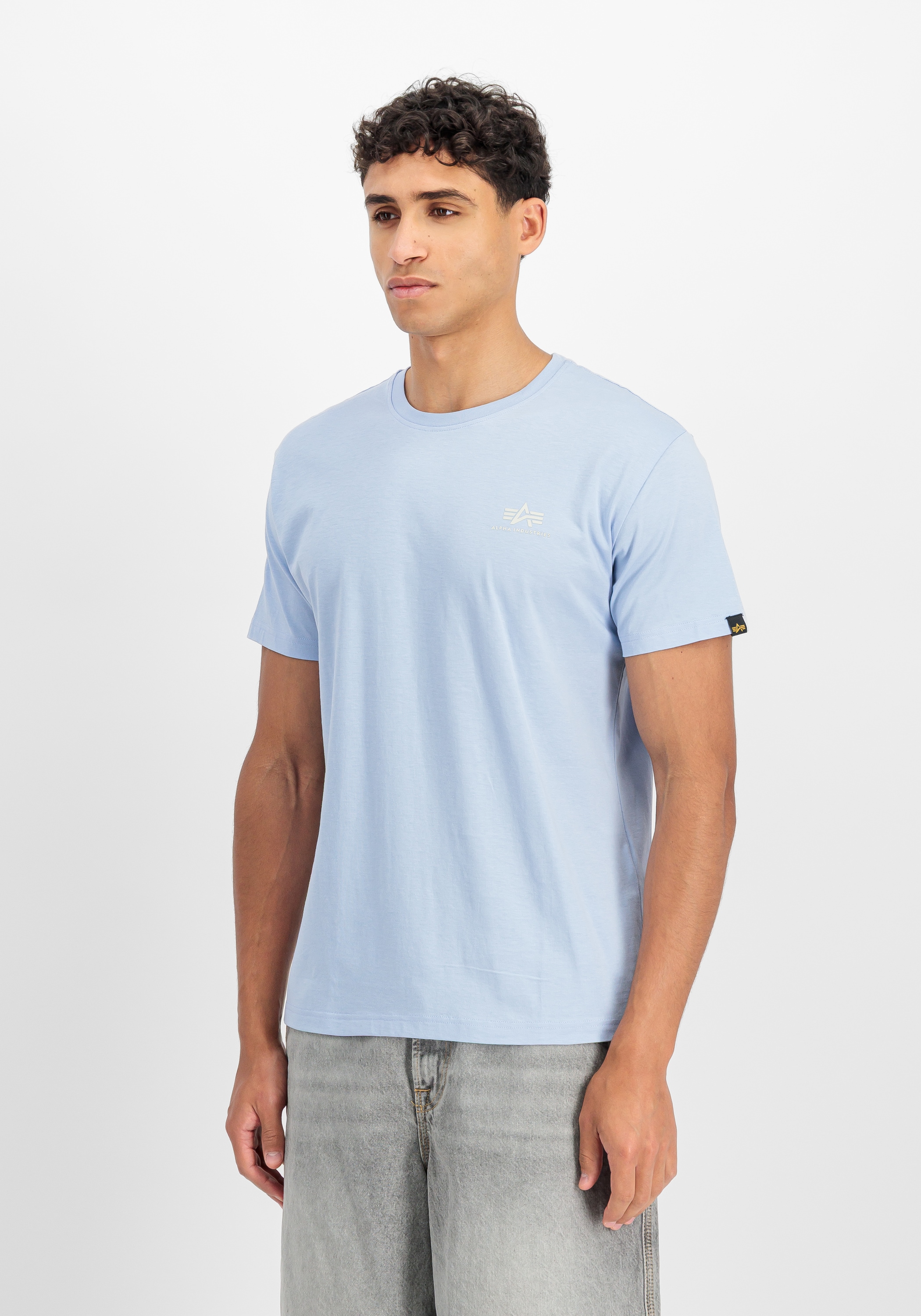 Alpha Industries T-Shirt "Backprint T-Shirt"