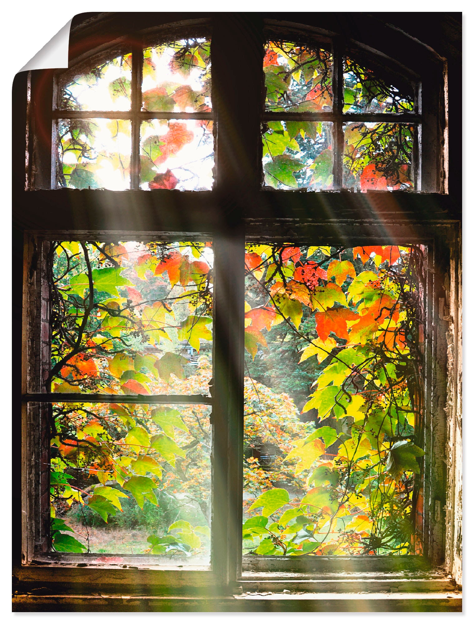 Grössen Türen, Artland Alubild, oder »Altbau«, in | als & Fenster Leinwandbild, (1 Wandbild Wandaufkleber online bestellen Jelmoli-Versand Poster versch. St.),
