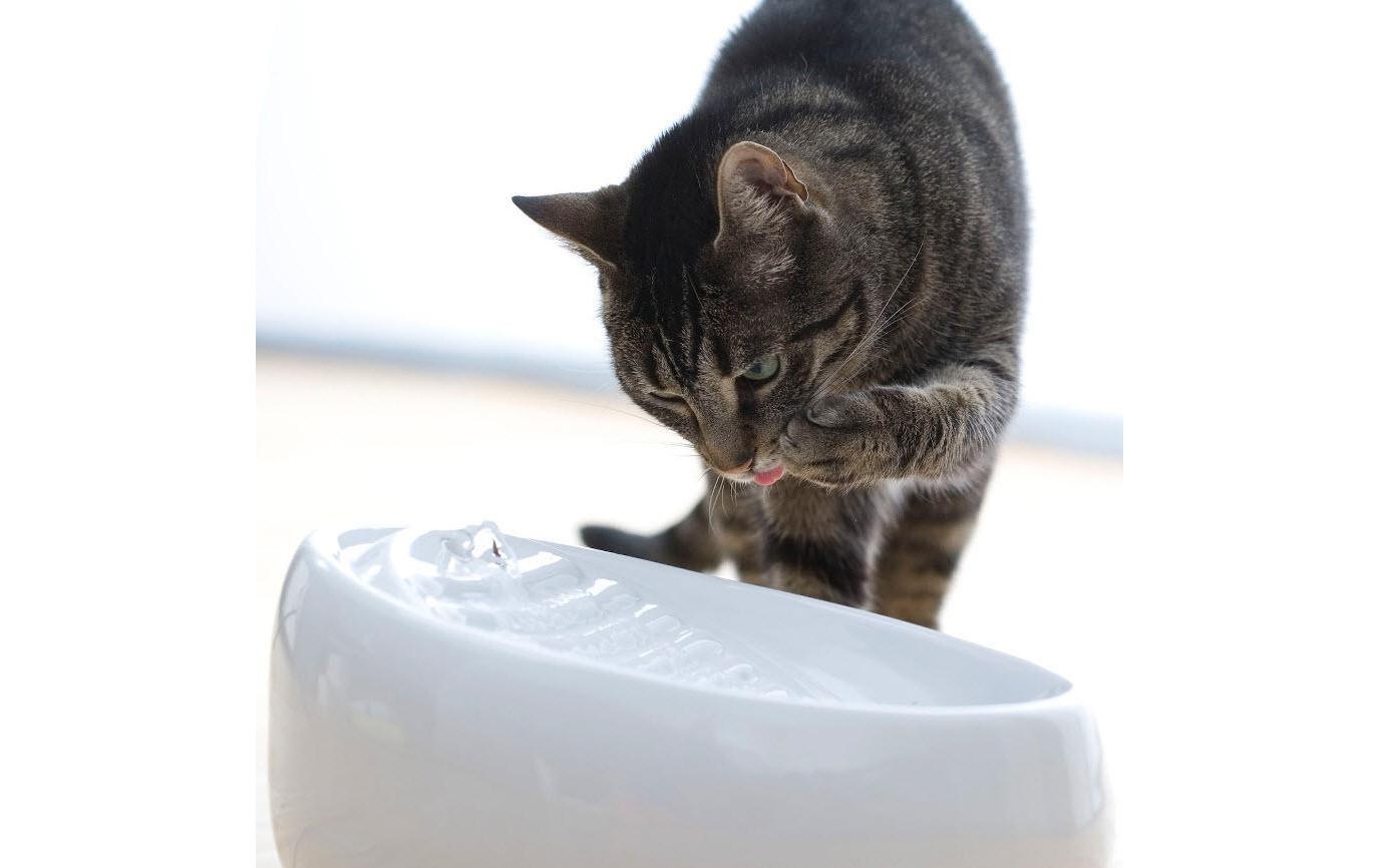 Wasserspender »Lucky-Kitty Keramik,«