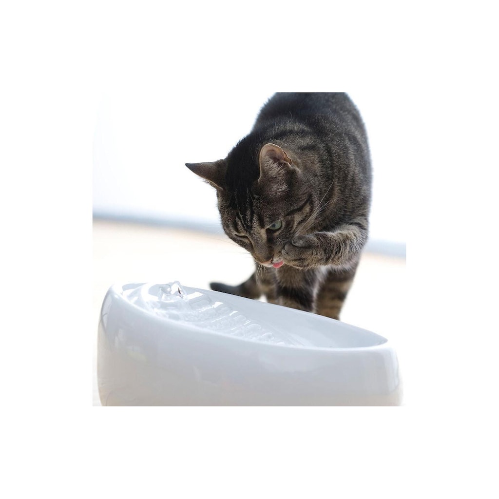 Wasserspender »Lucky-Kitty Keramik, Hellbraun«