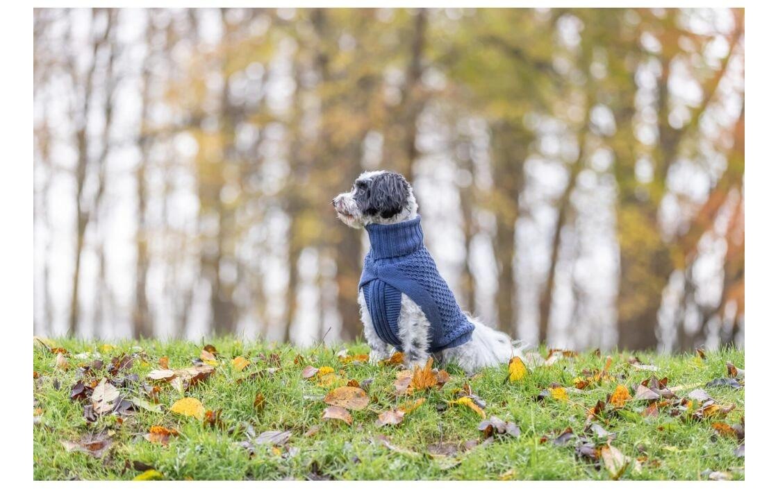 TRIXIE Tierpullover »Norwood M, 50 cm Dunkelblau«