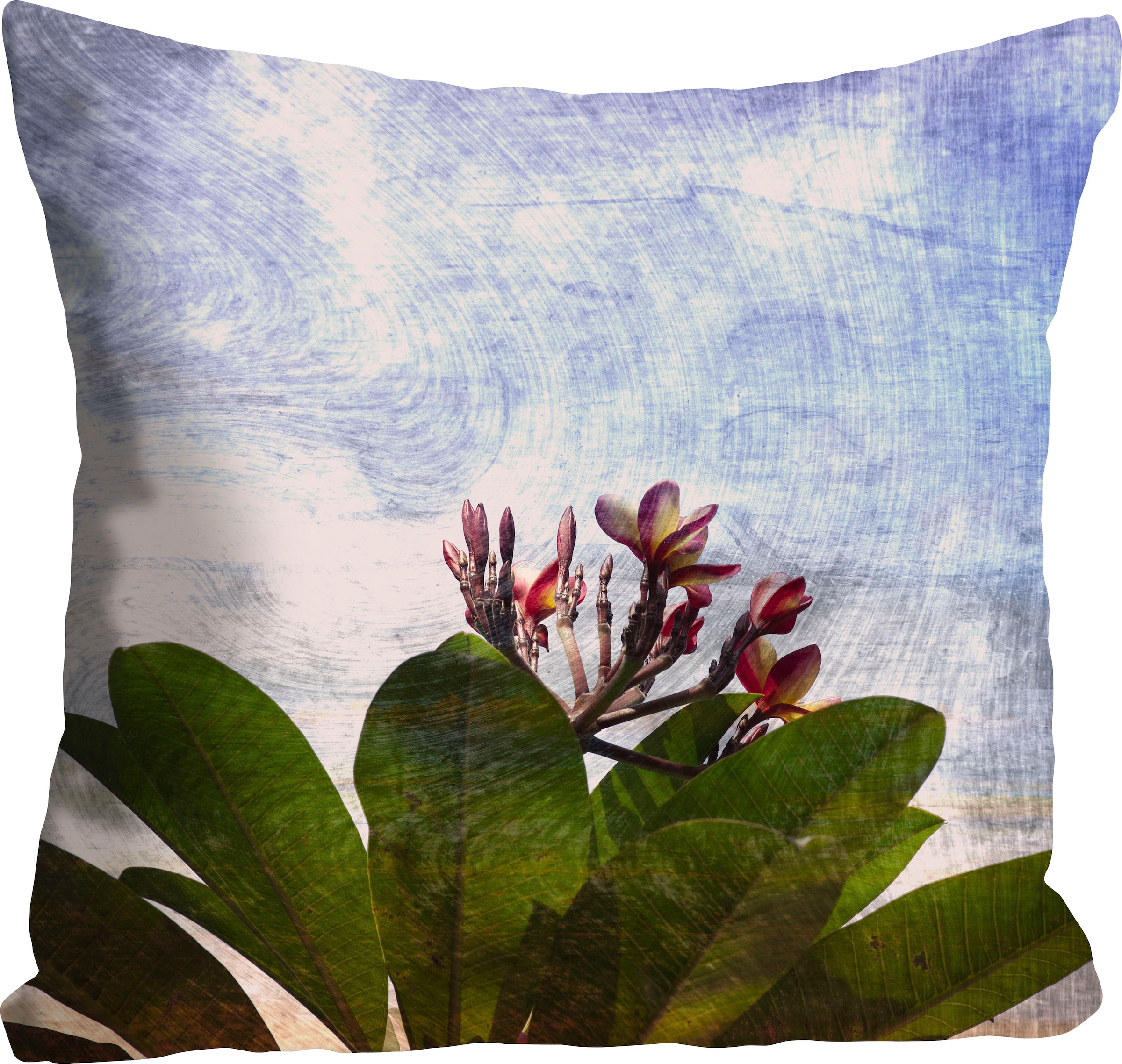 queence Stück mit »Gibralta«, einer kaufen im ❤ Pflanze, schönen ohne Shop Jelmoli-Online 1 Dekokissen Füllung, Kissenhülle