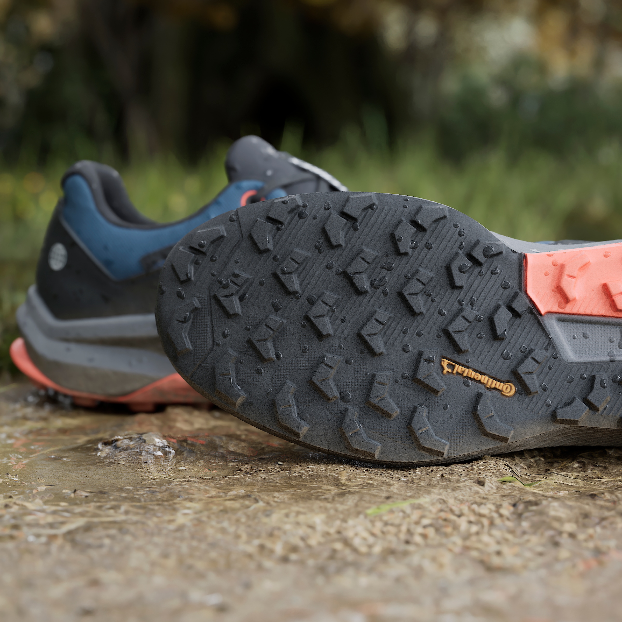 adidas TERREX Laufschuh »TRAIL RIDER GORE-TEX TRAILRUNNING«, wasserdicht