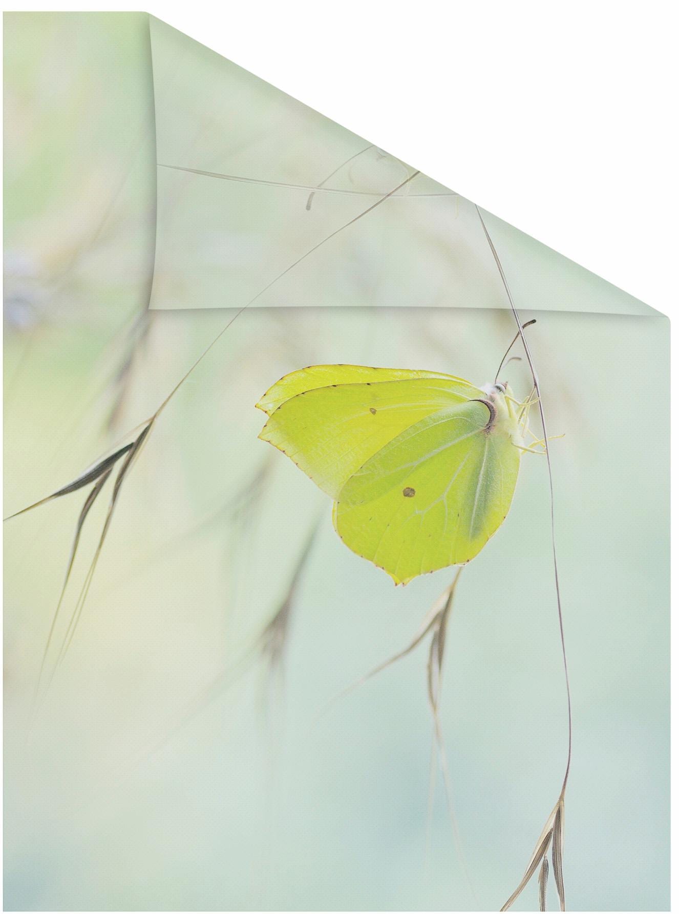 LICHTBLICK ORIGINAL Fensterfolie »Schmetterling Grün«, 1 St., blickdicht, strukturiertKlebepunkte, selbstklebend, Sichtschutz