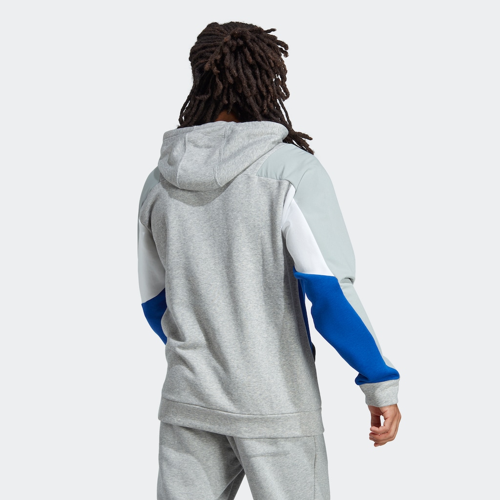 adidas Sportswear Kapuzensweatshirt »ESSENTIALS COLORBLOCK HOODIE«