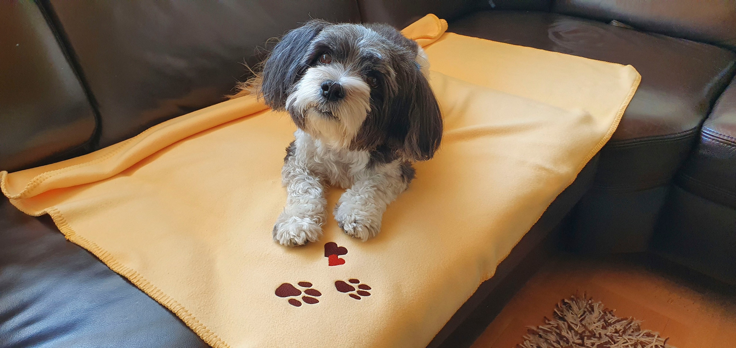 Wohndecke | Mensch Jelmoli-Versand »Pfoten«, online für und kaufen Hund Kuscheldecke Kneer mit Stickerei, Fleecedecke