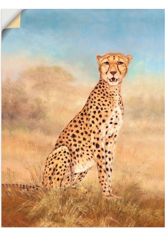 Artland Wandbild »Gepard Savanne«, Wildtiere, (1 St.), in vielen Grössen &... kaufen