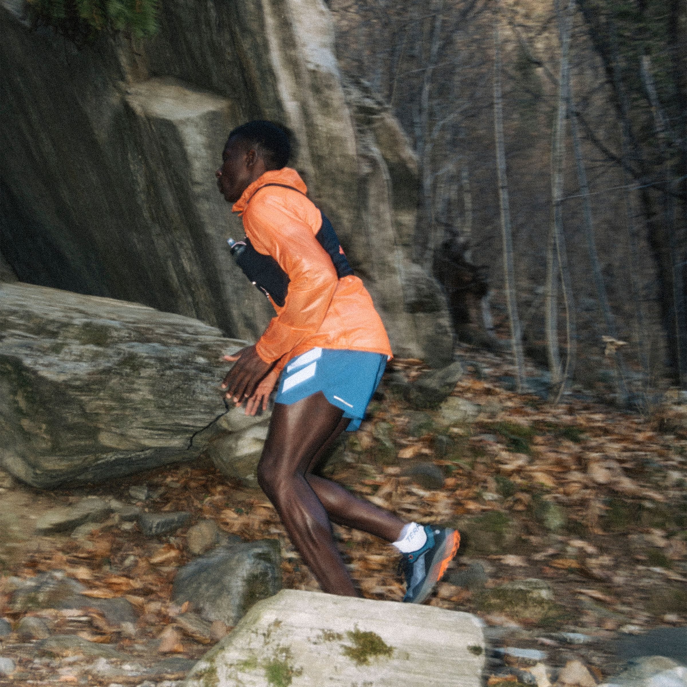 adidas TERREX Trailrunningschuh »TRAIL RIDER GORE-TEX TRAILRUNNING«, wasserdicht
