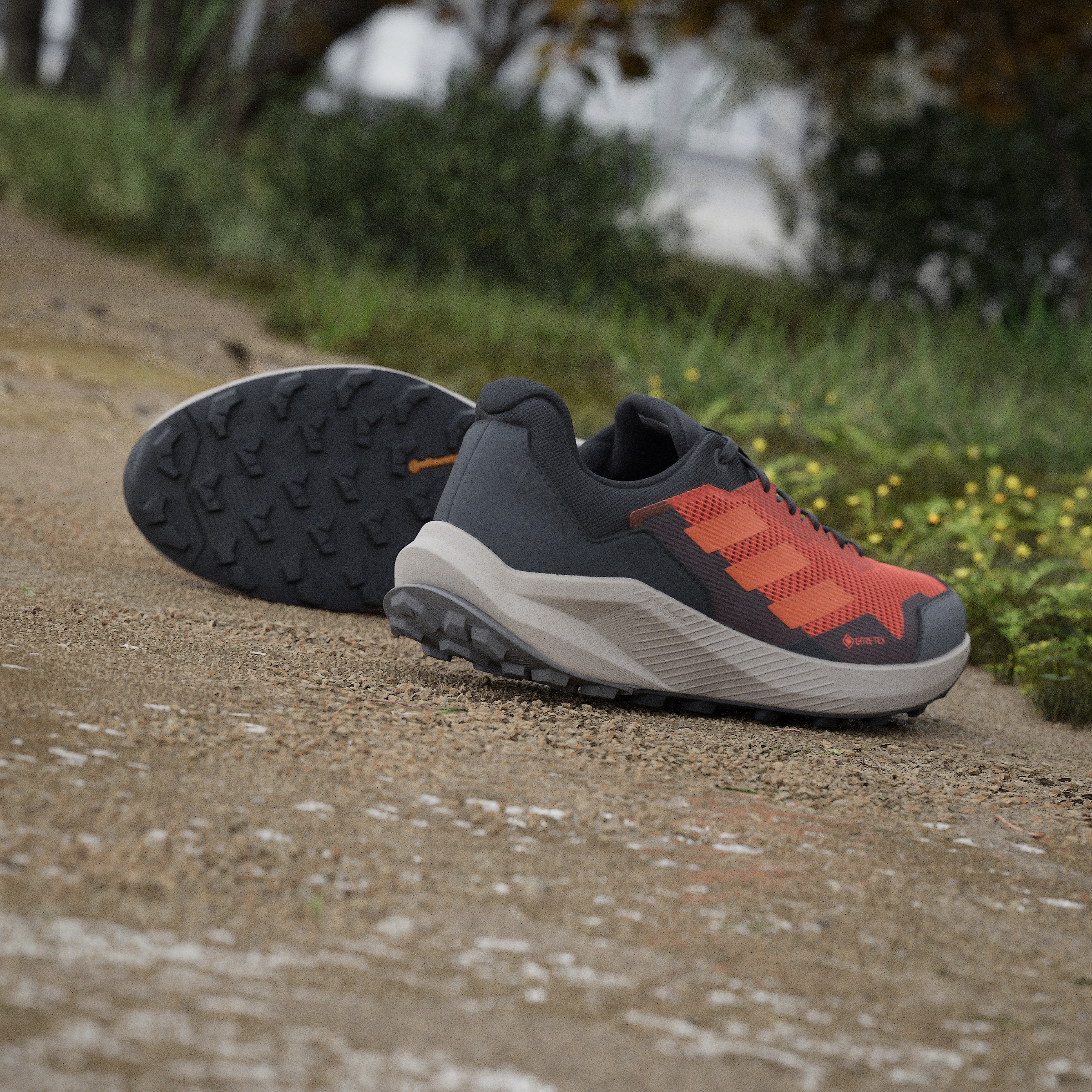 adidas TERREX Laufschuh »TRAIL RIDER GORE-TEX TRAILRUNNING«, wasserdicht